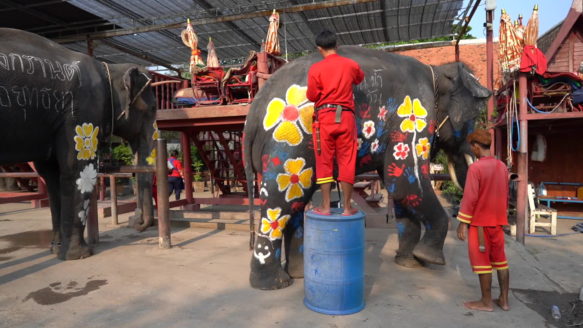 Elephants Celebrate the Songkran Festival in Ayutthaya.