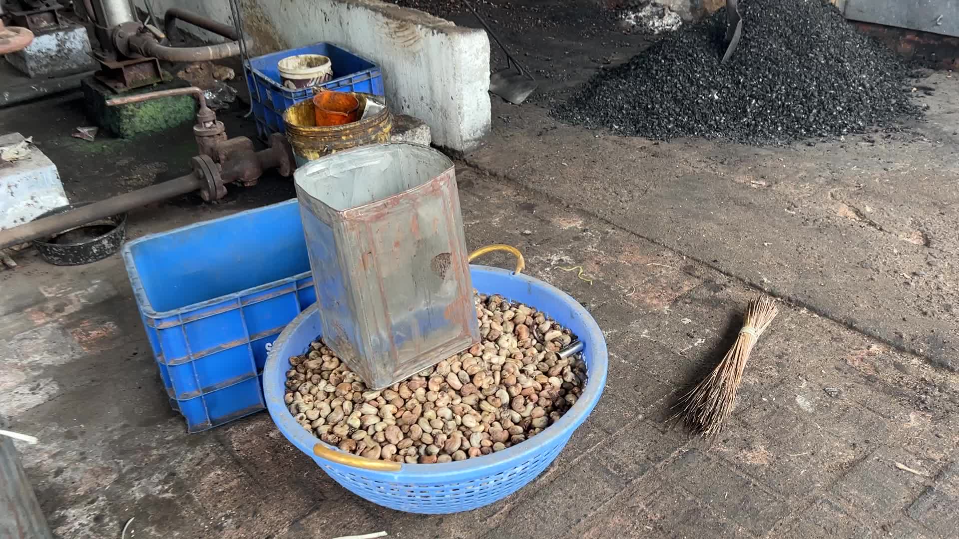 Cashew nut factory in Kerala