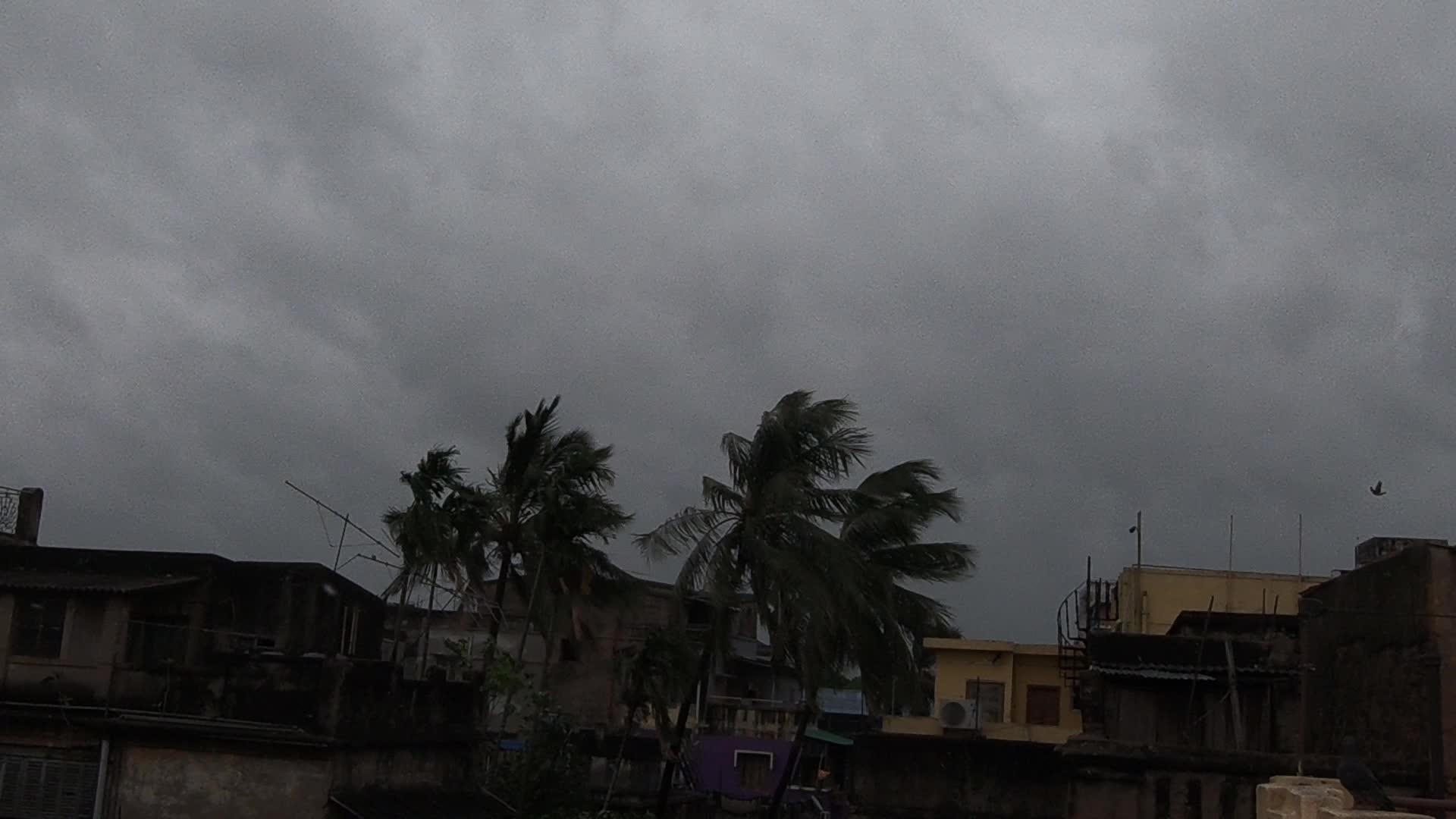 Severe Cyclonic Storm Remal