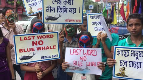 Protest Against Blue Whale In India