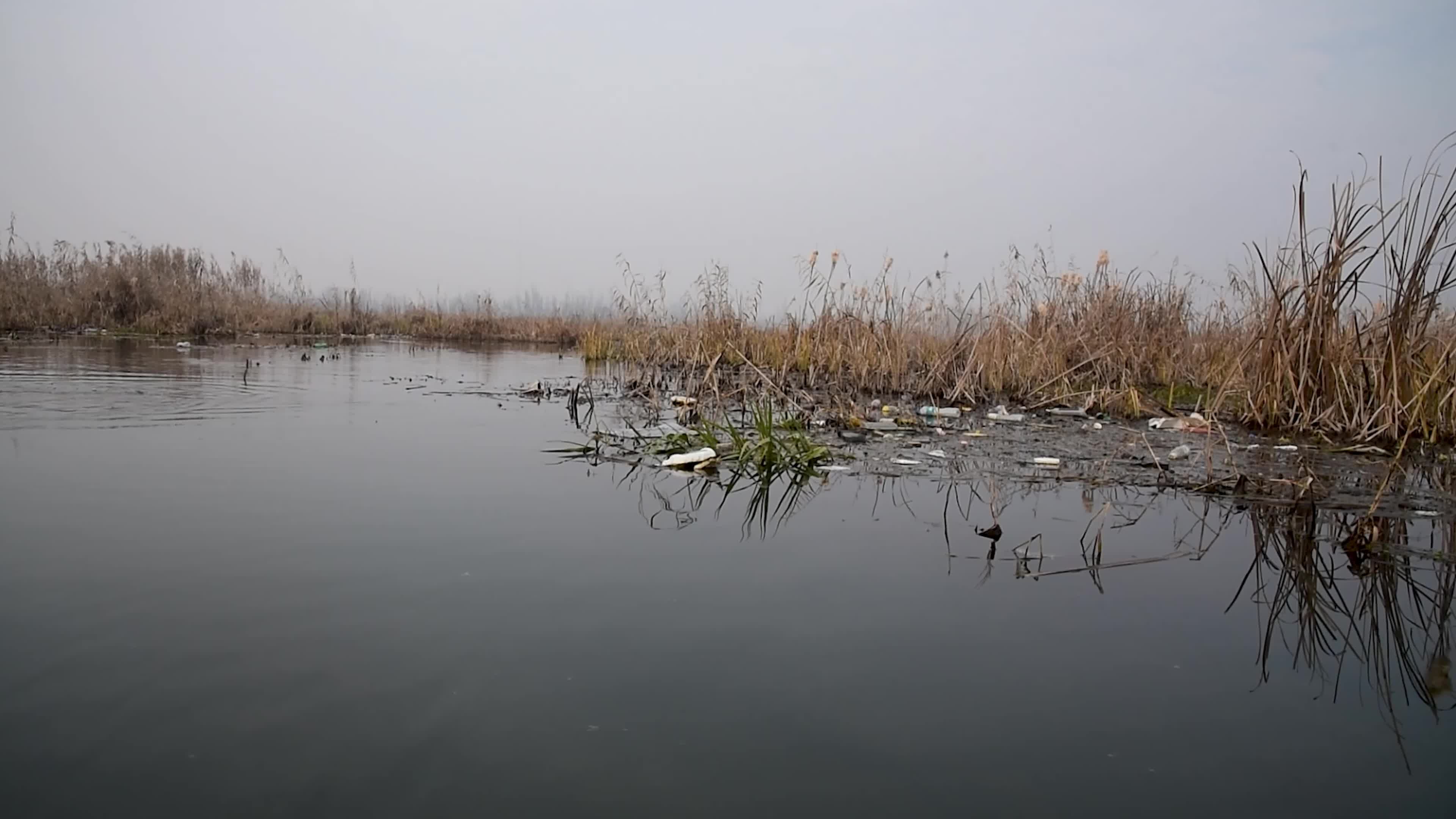 Hokarsar Wetland in the outskirts of Srinagar, Indian Administered Kashmir