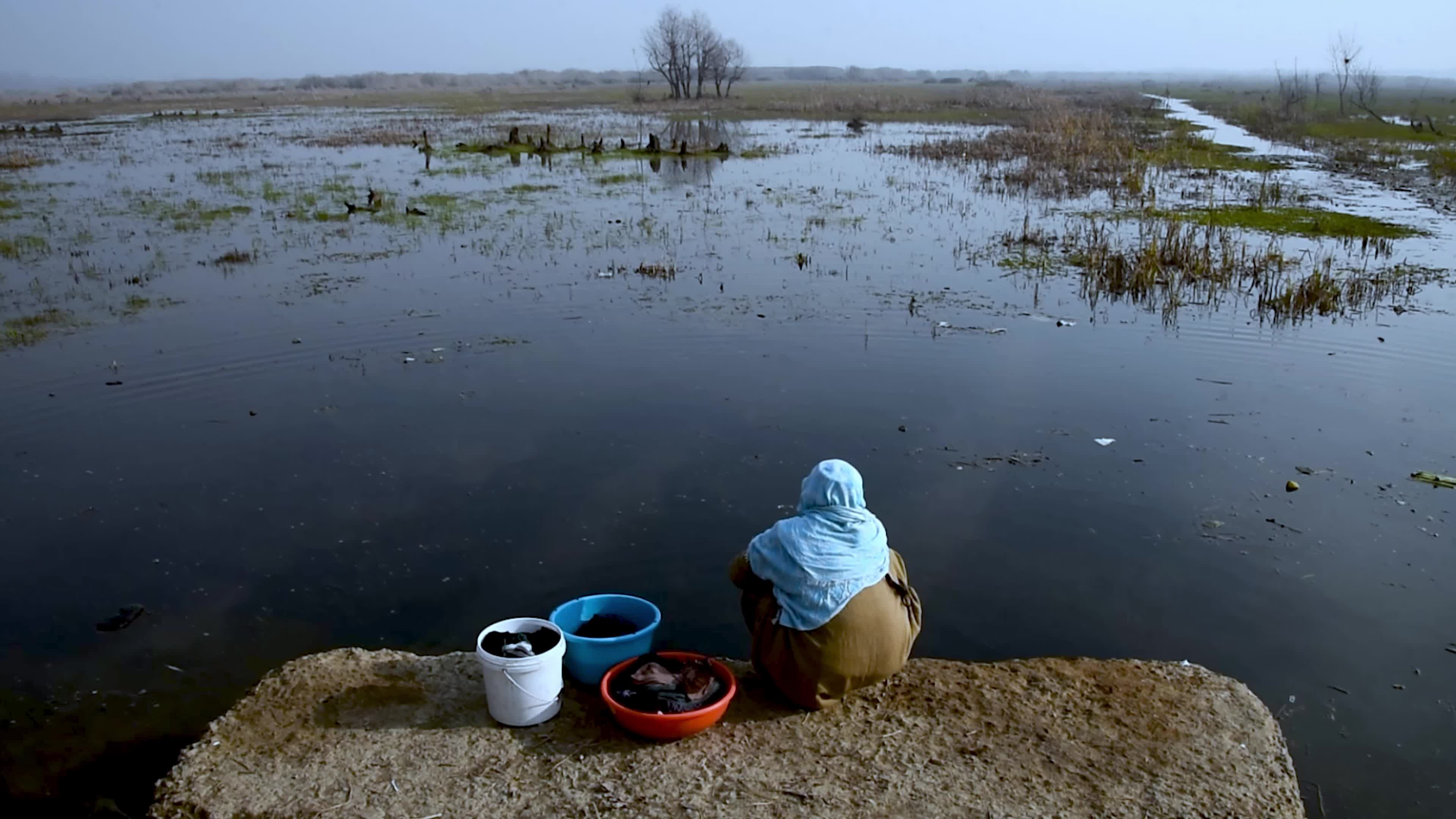 Hokarsar Wetland in the outskirts of Srinagar, Indian Administered Kashmir