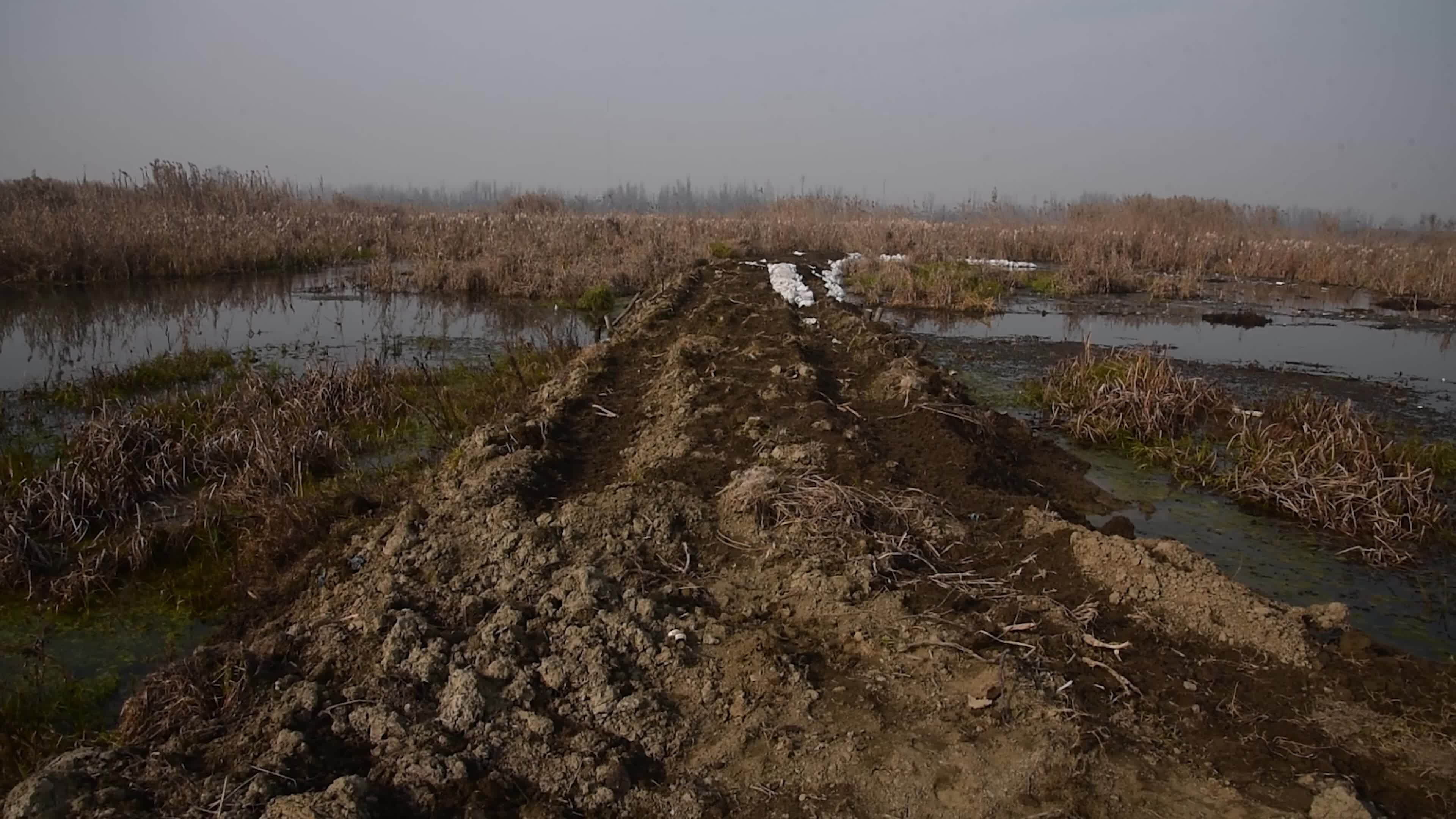 Hokarsar Wetland in the outskirts of Srinagar, Indian Administered Kashmir