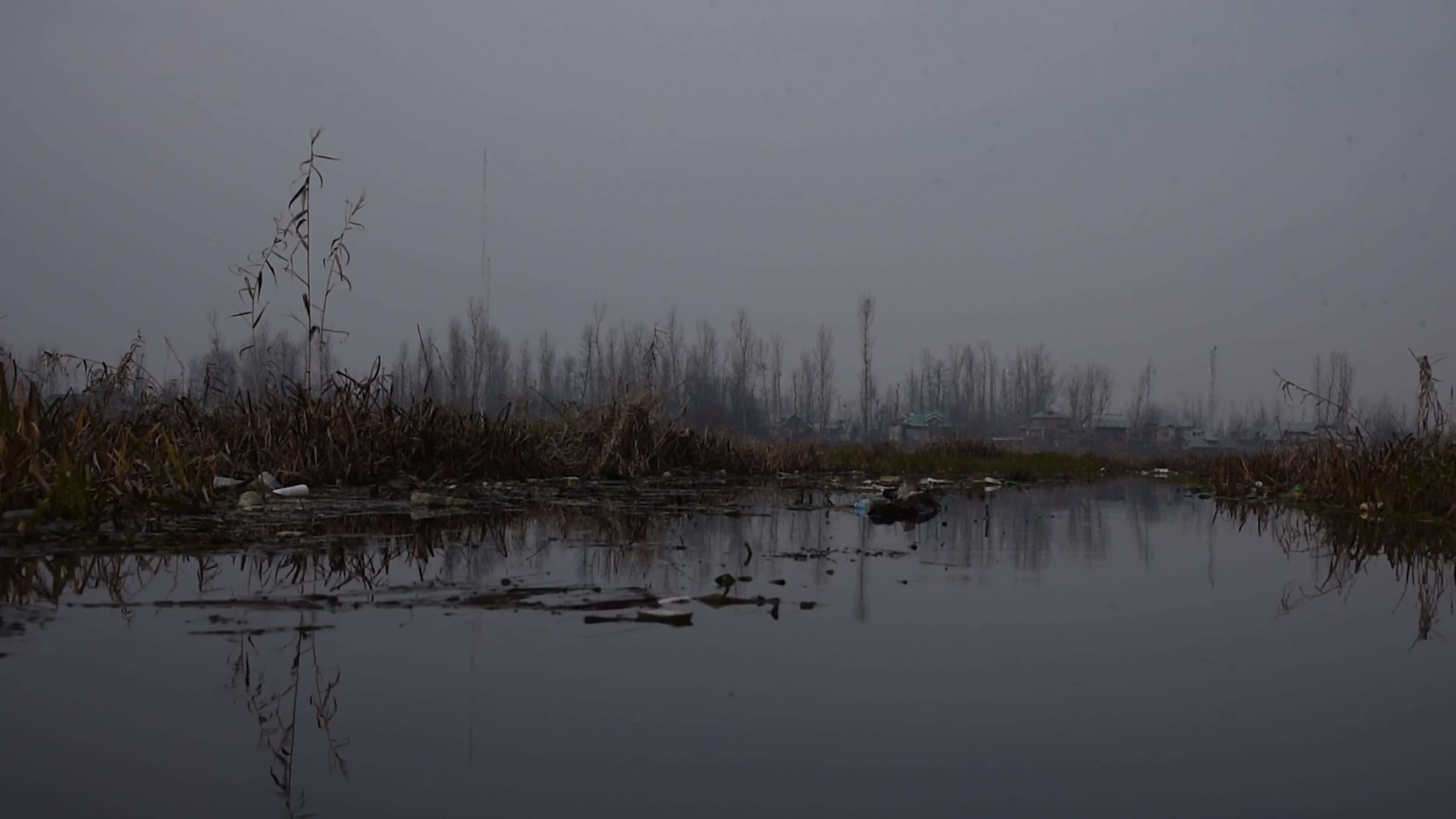 Hokarsar Wetland in the outskirts of Srinagar, Indian Administered Kashmir