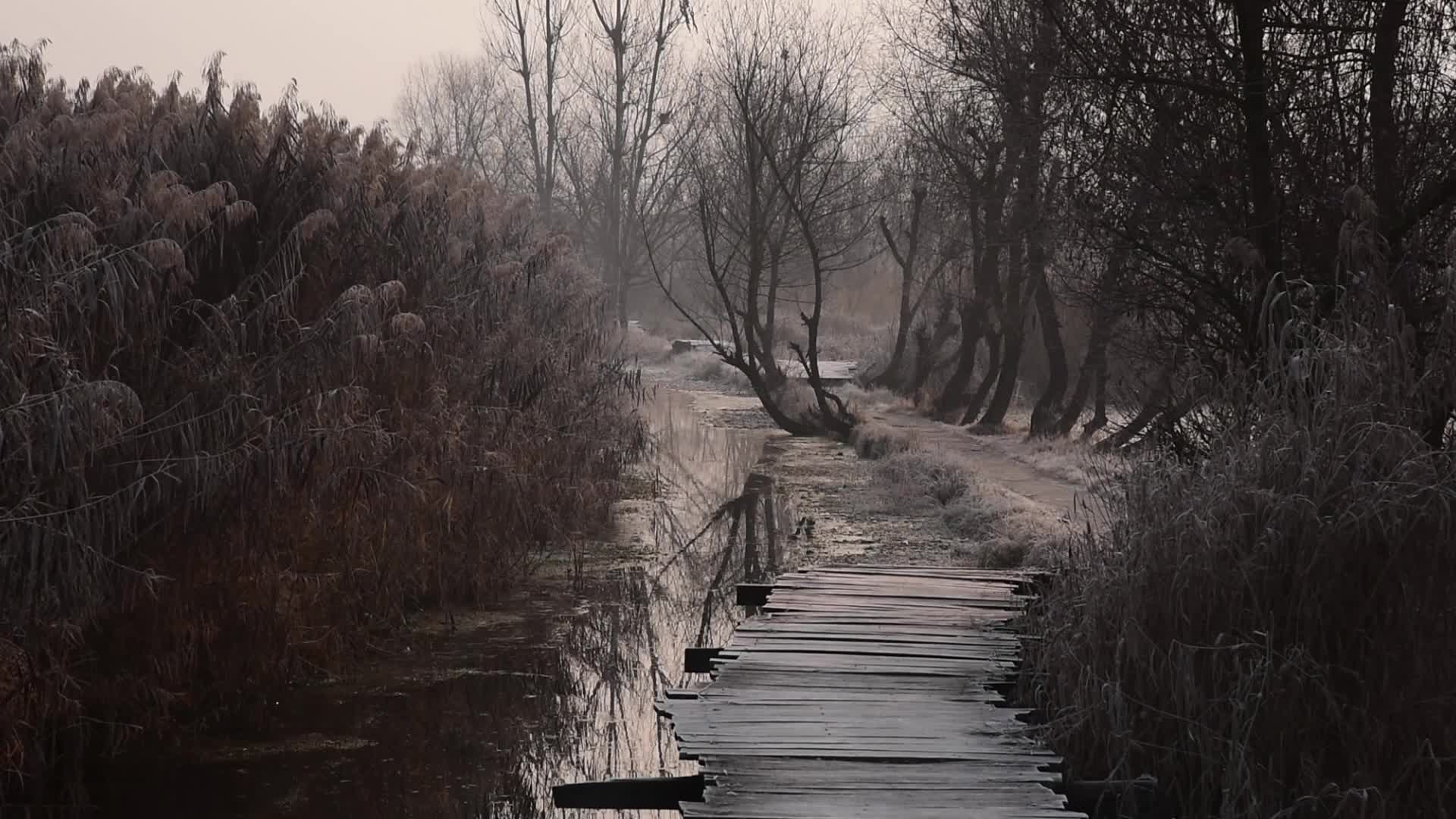 Daily life in Srinagar, Kashmir