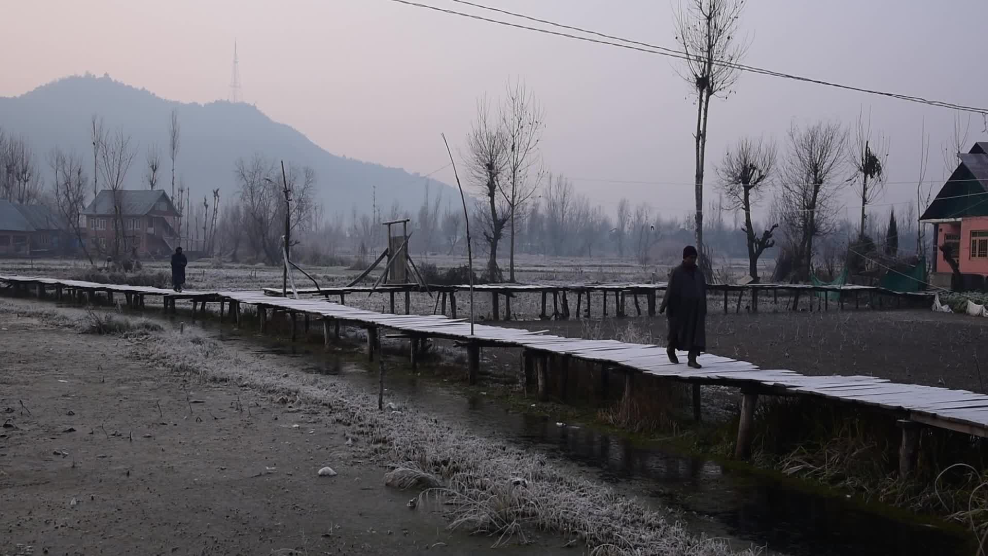 Daily life in Srinagar, Kashmir