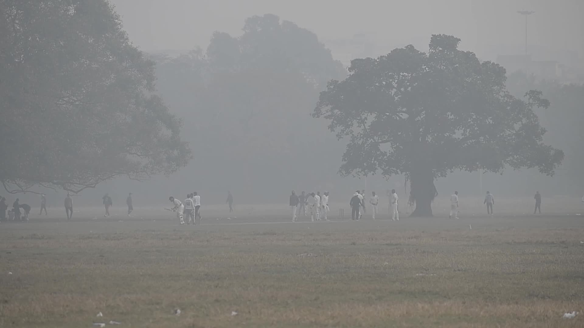Winter Morning in Kolkata 