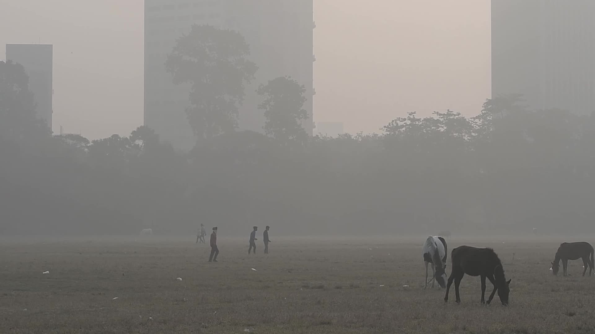 Winter Morning in Kolkata 