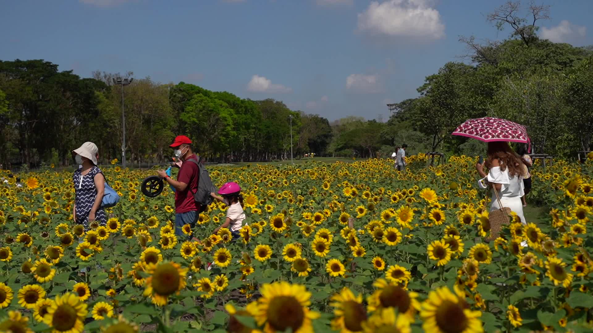 Daily Life Amid Covid-19 Pandemic in Bangkok