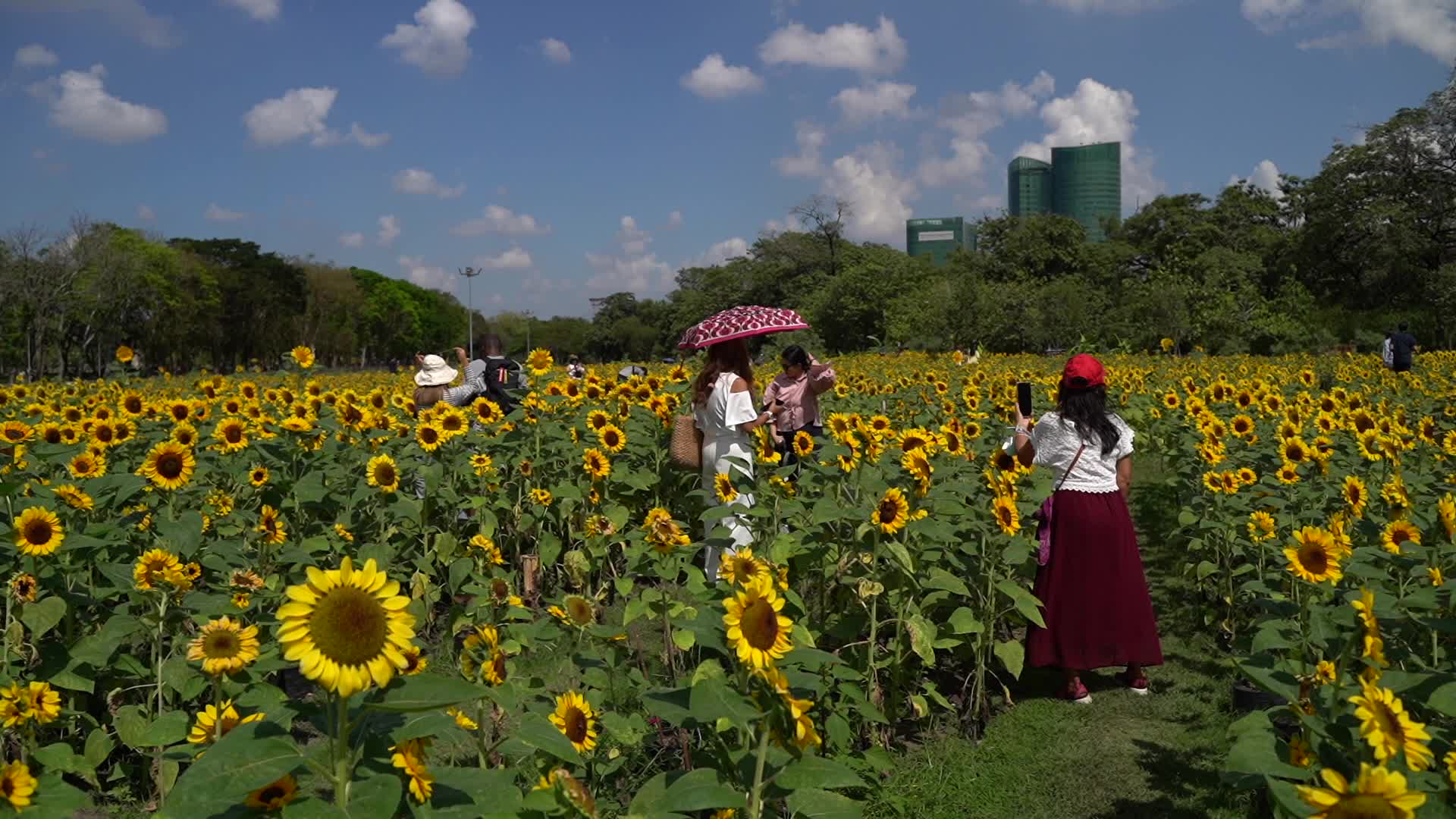 Daily Life Amid Covid-19 Pandemic in Bangkok
