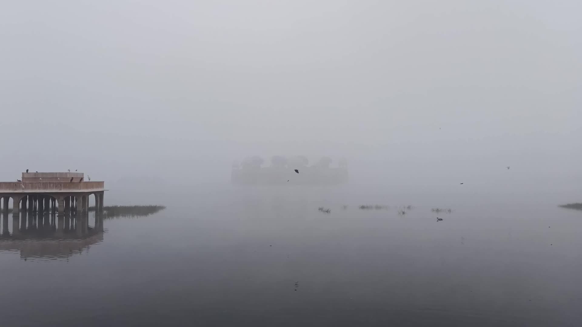 Dense Fog in Jaipur 