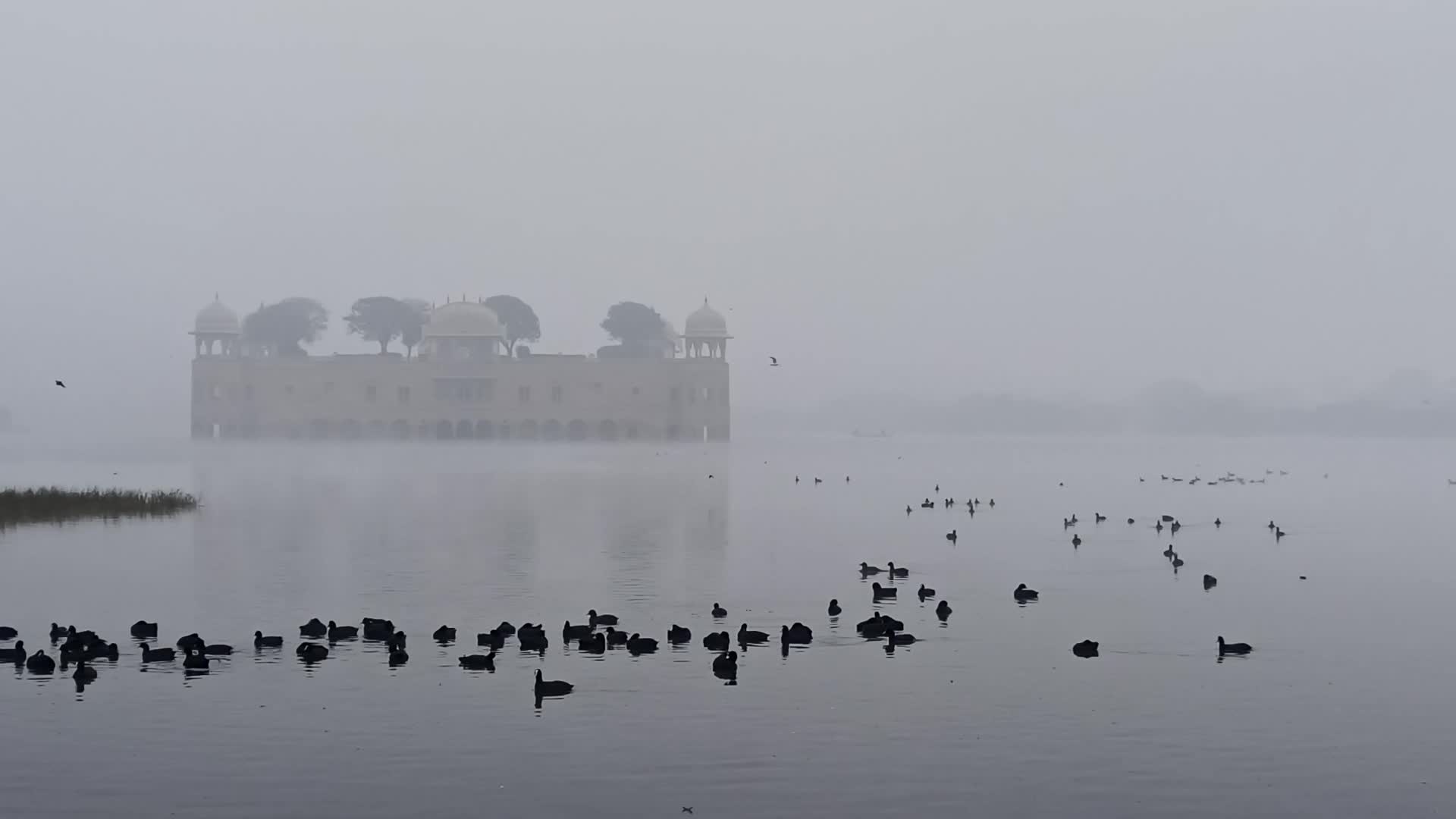 Dense Fog in Jaipur 