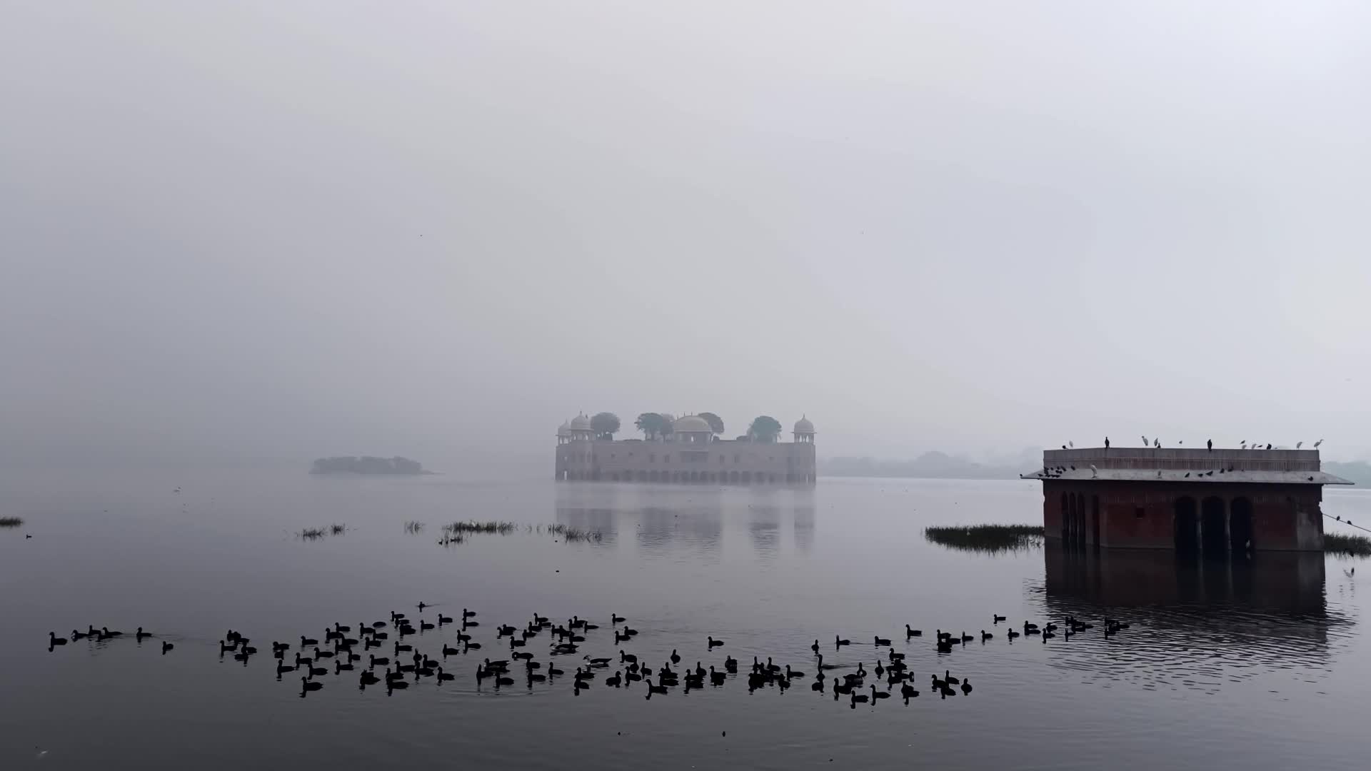 Dense Fog in Jaipur 