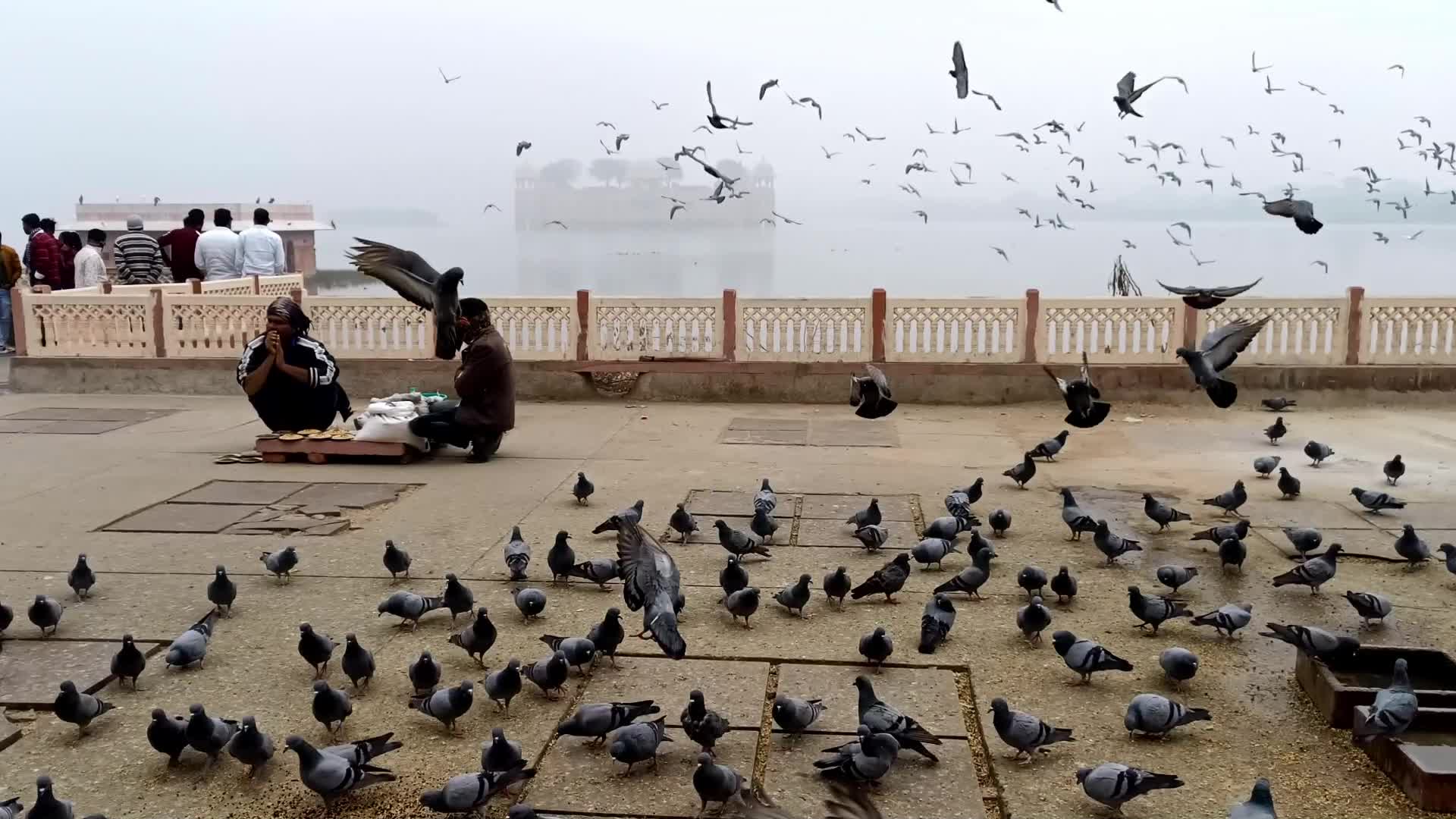 Dense Fog in Jaipur 