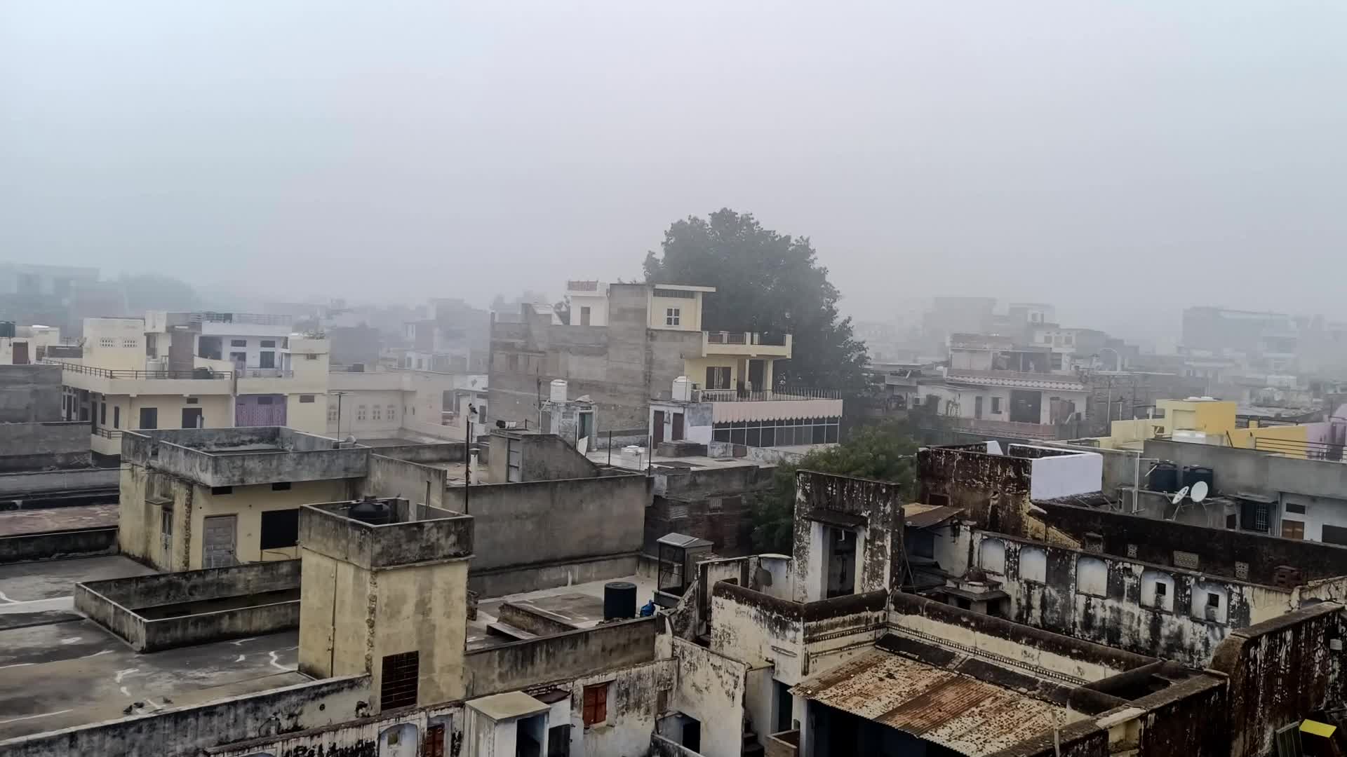 Dense Fog in Jaipur 