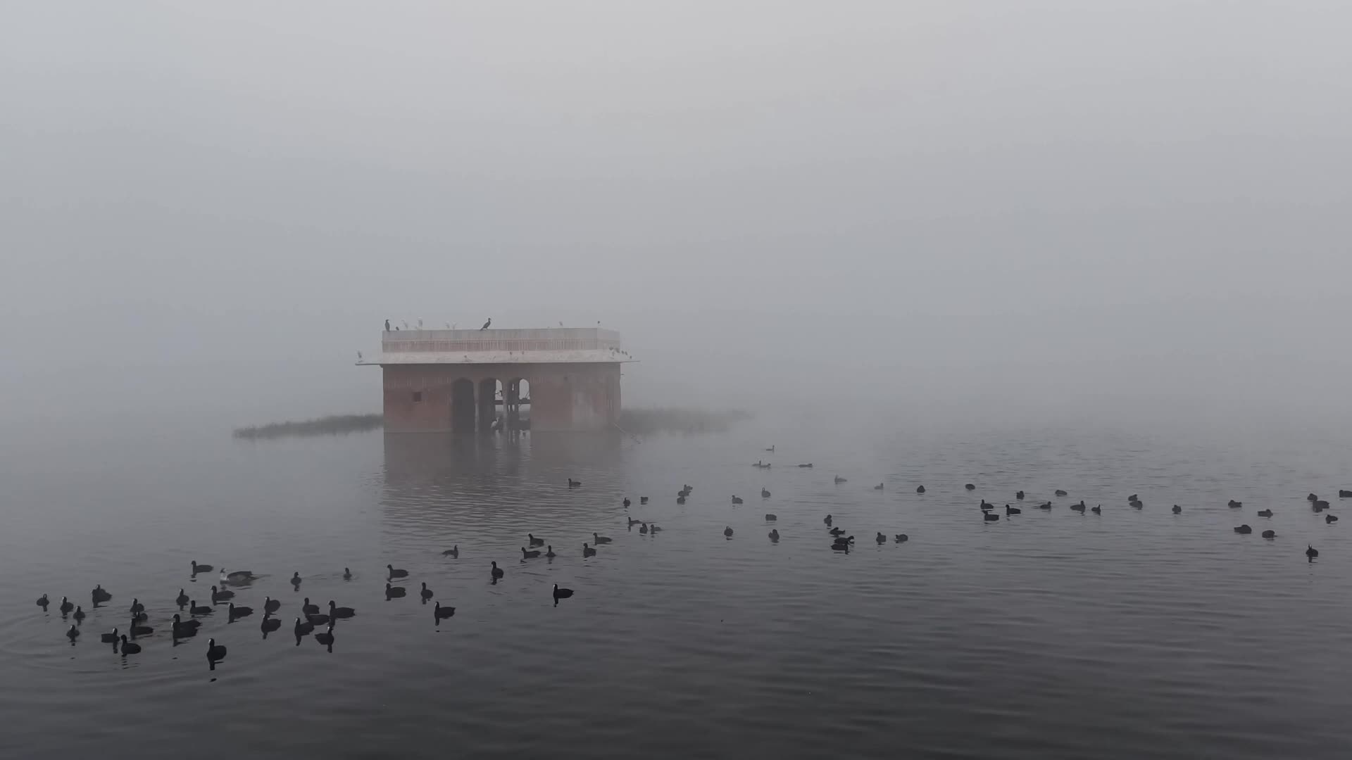 Dense Fog in Jaipur 