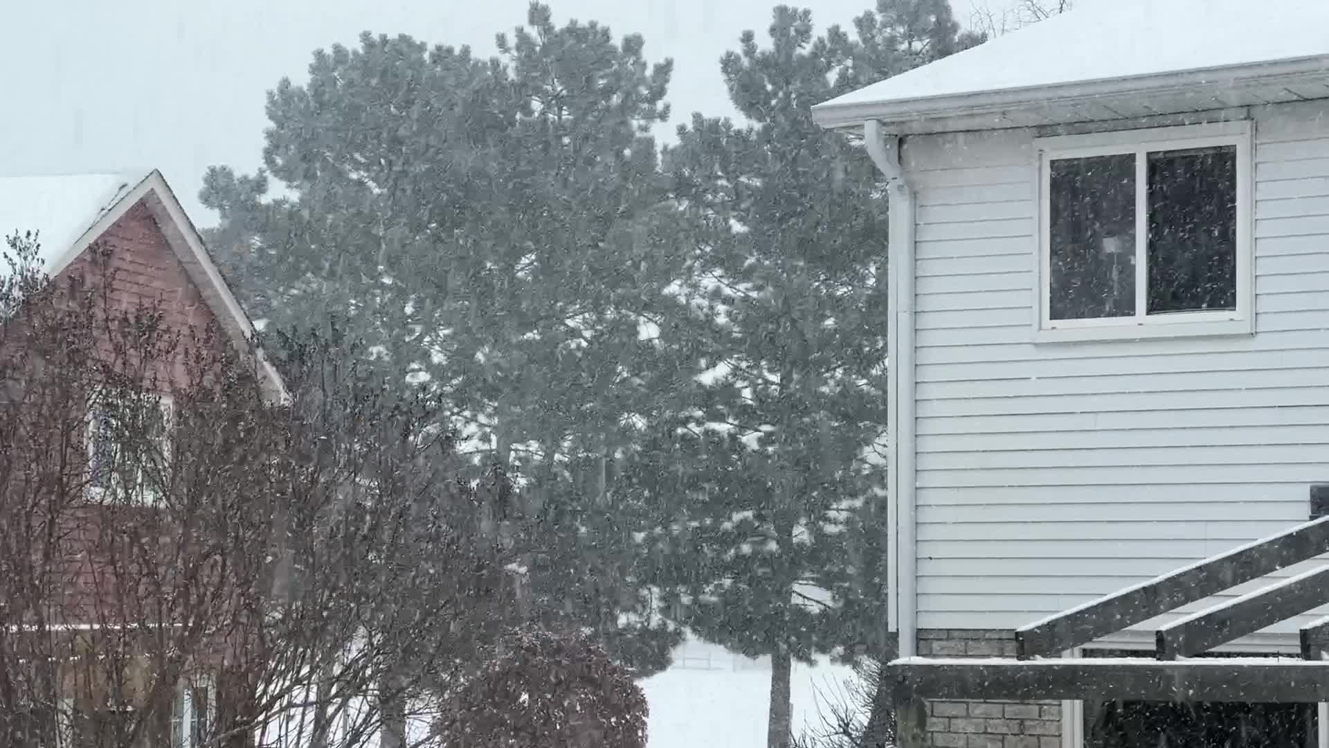 Toronto gets hit by winter snowstorm