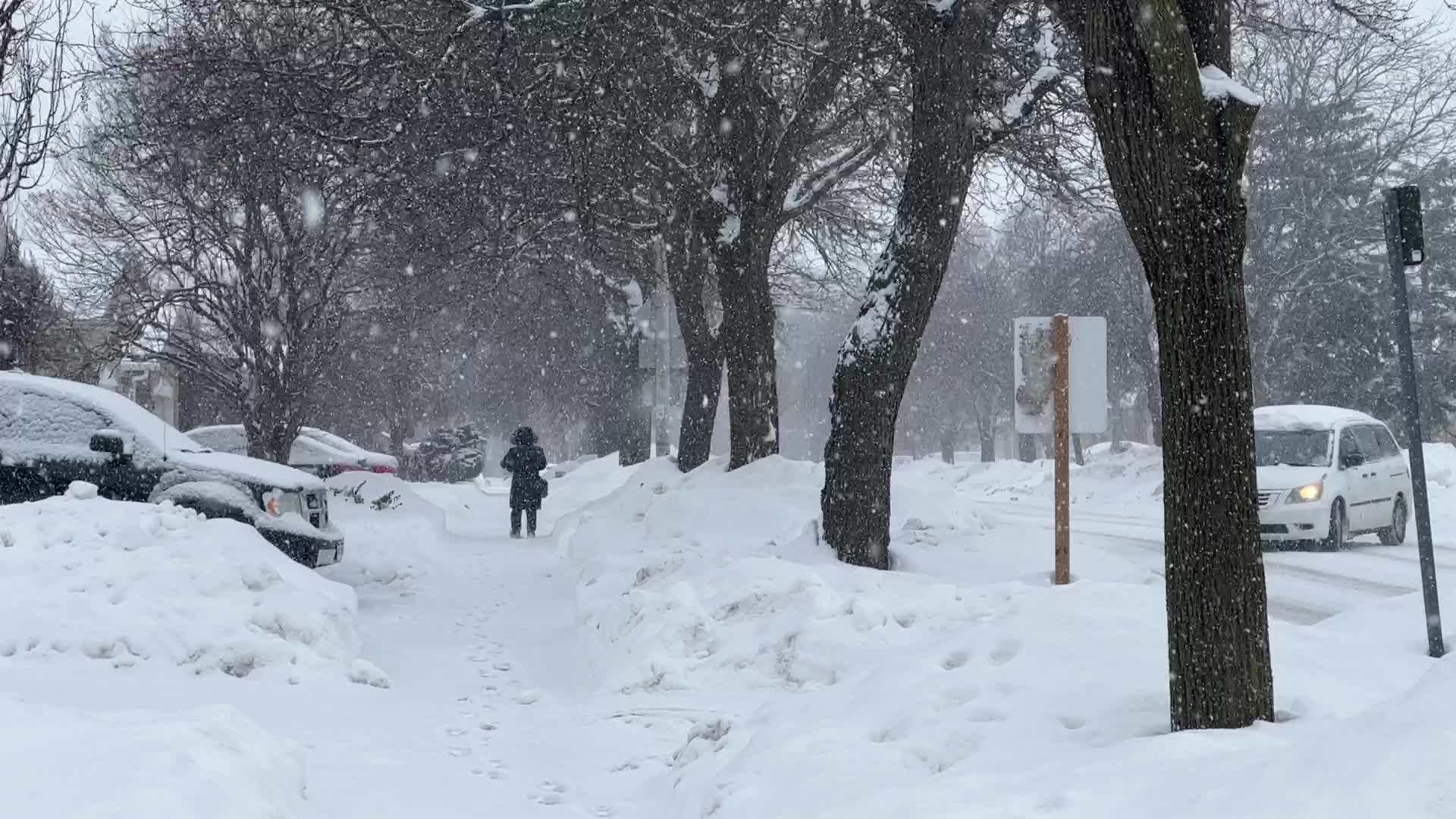 Toronto gets hit by winter snowstorm