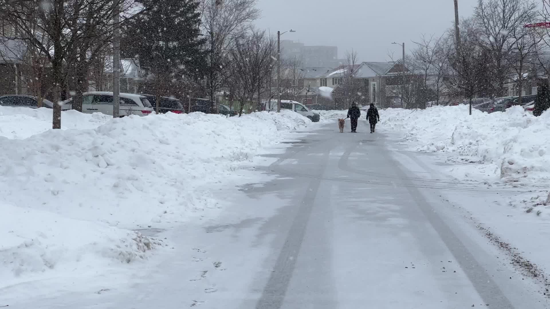 Toronto gets hit by winter snowstorm