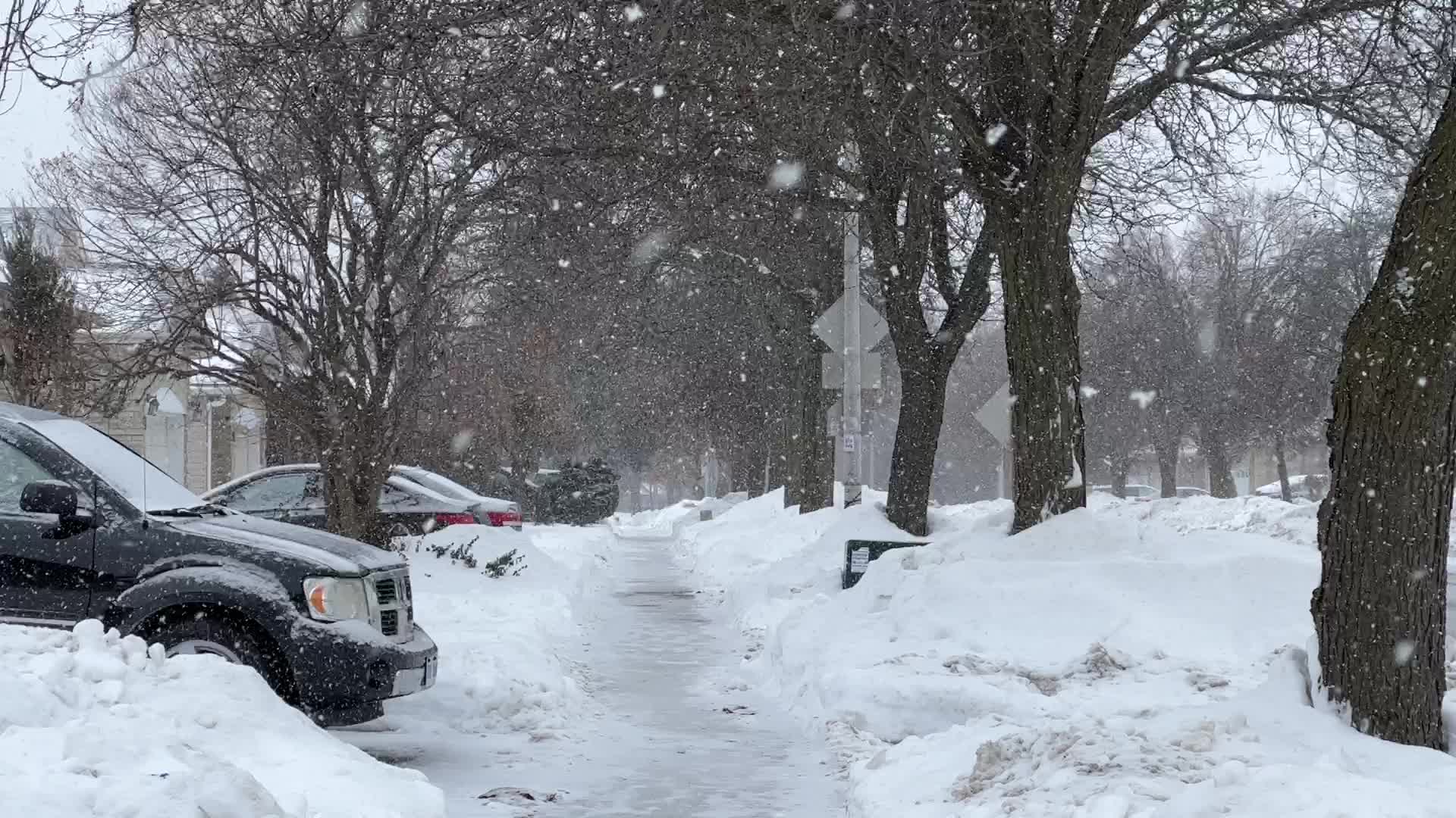 Toronto gets hit by winter snowstorm