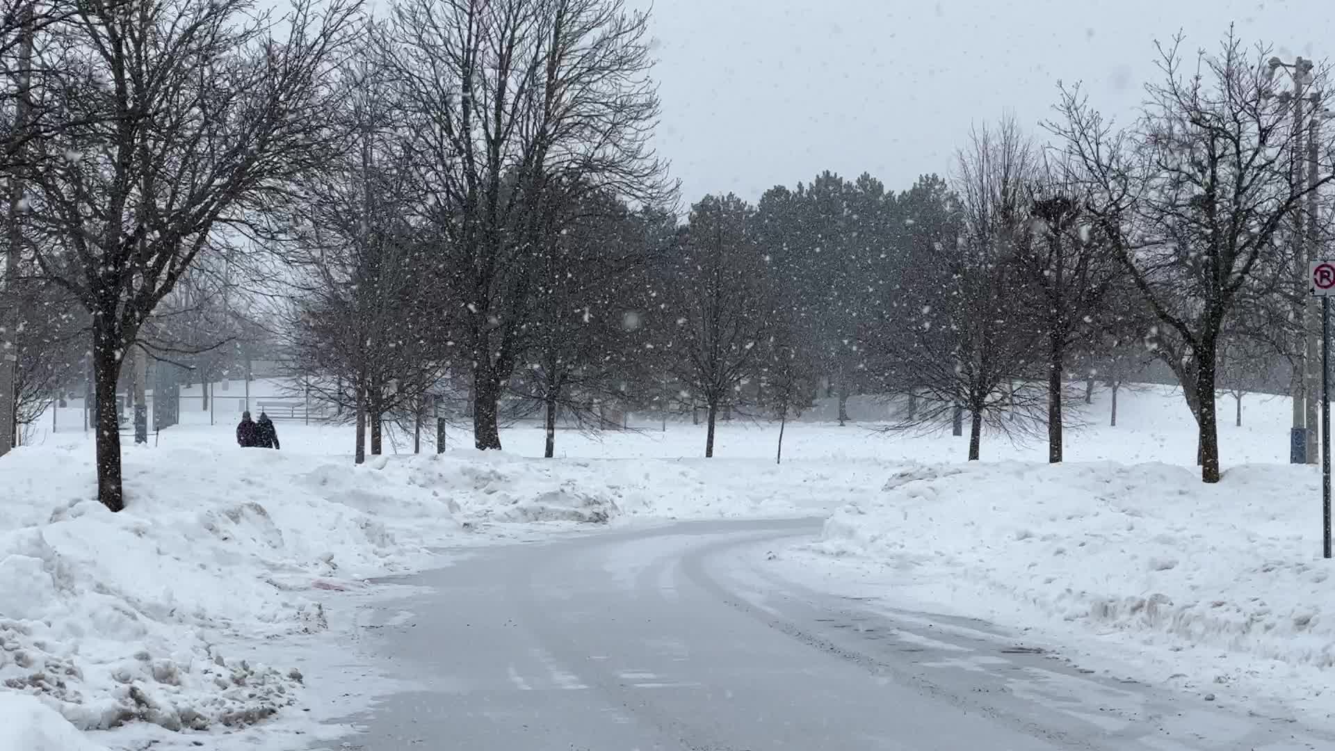 Toronto gets hit by winter snowstorm