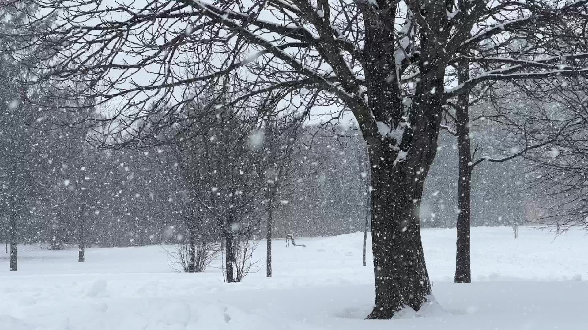 Toronto gets hit by winter snowstorm
