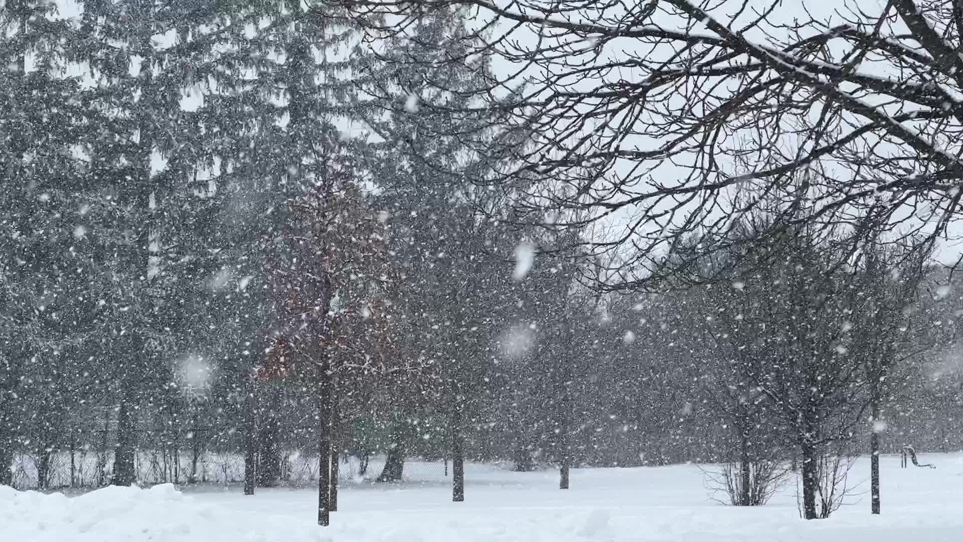 Toronto gets hit by winter snowstorm