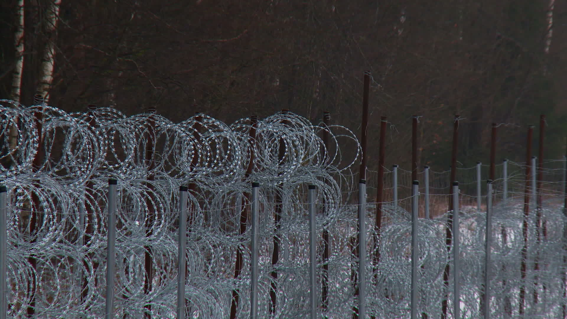 Poland builds wall on border with Belarus