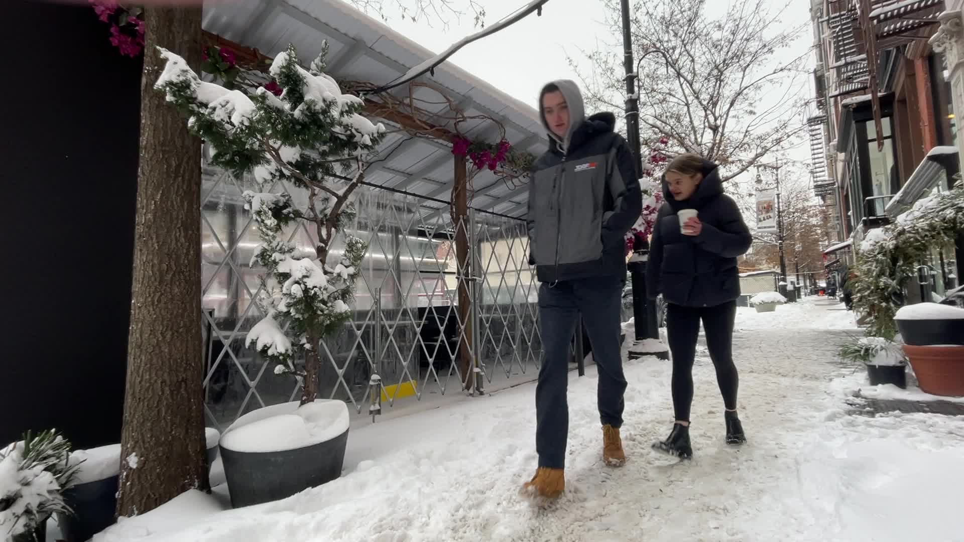 New York City Snow