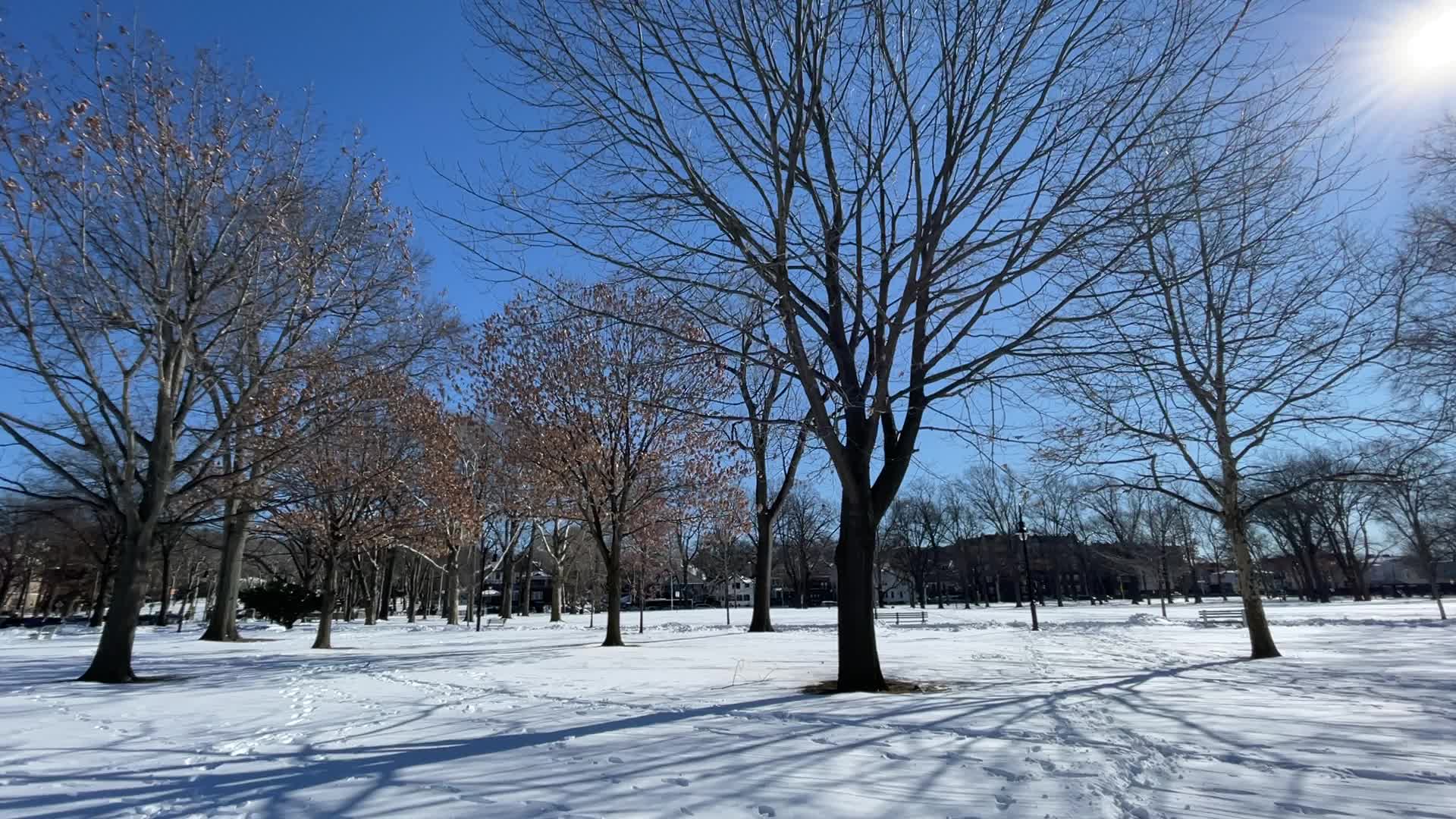 NJ: Snow in Jersey City Lincoln Park