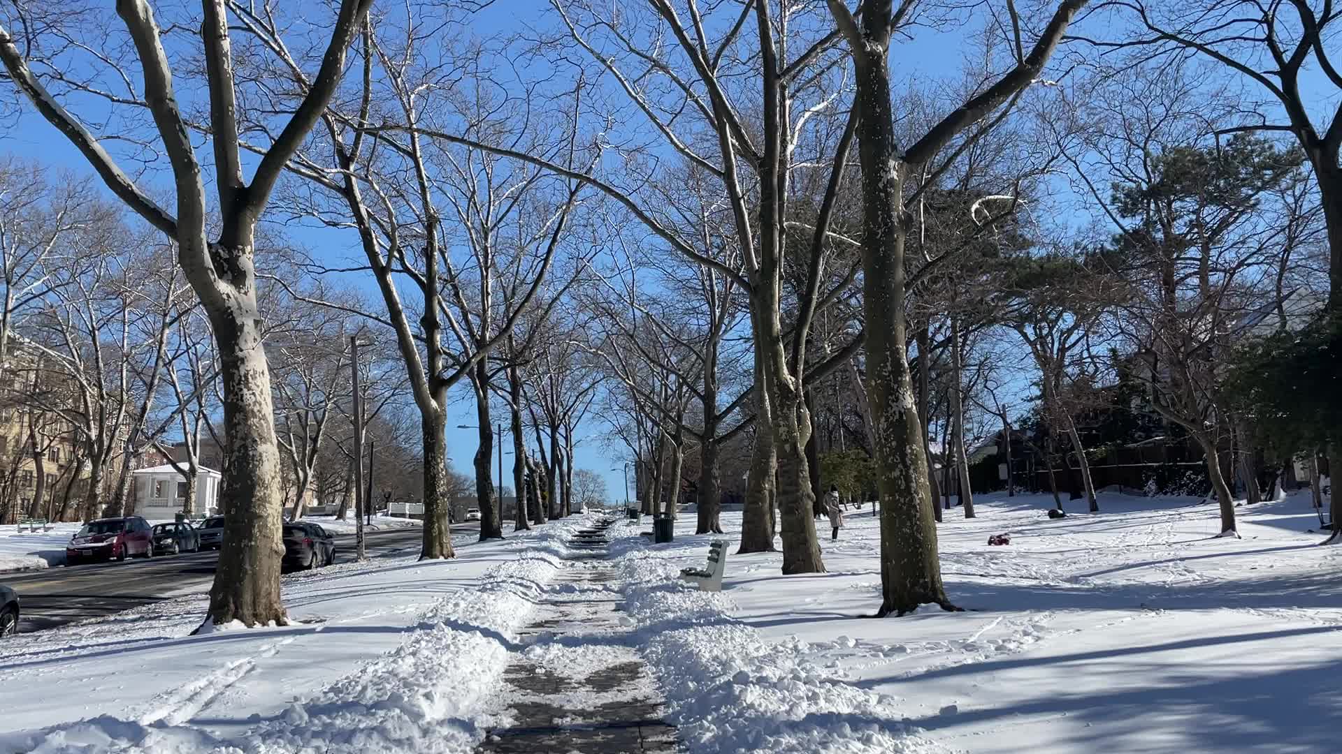 NJ: Snow in Jersey City Lincoln Park