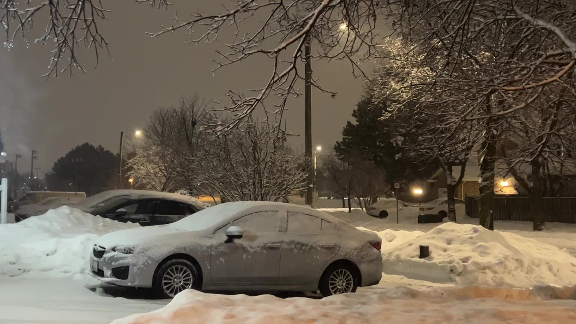 Snowfall in Toronto