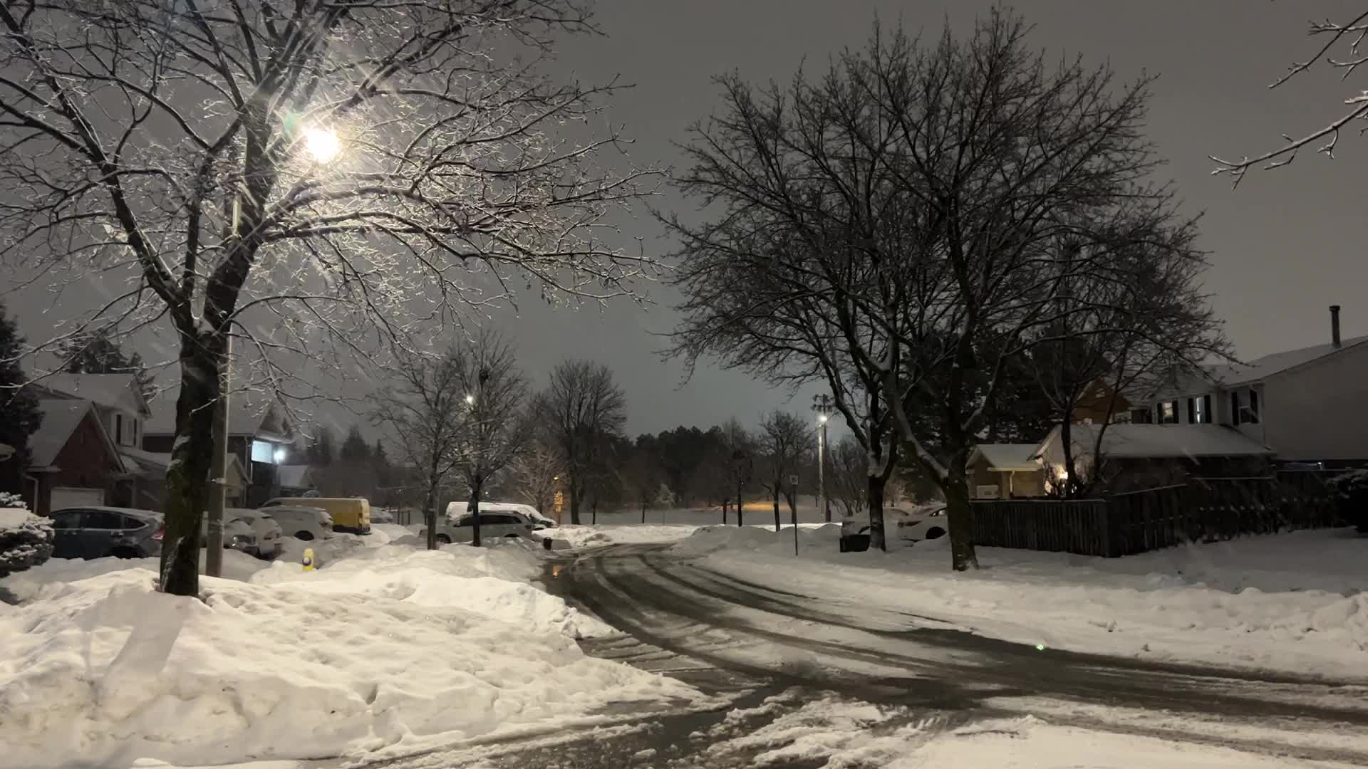 Snowfall in Toronto