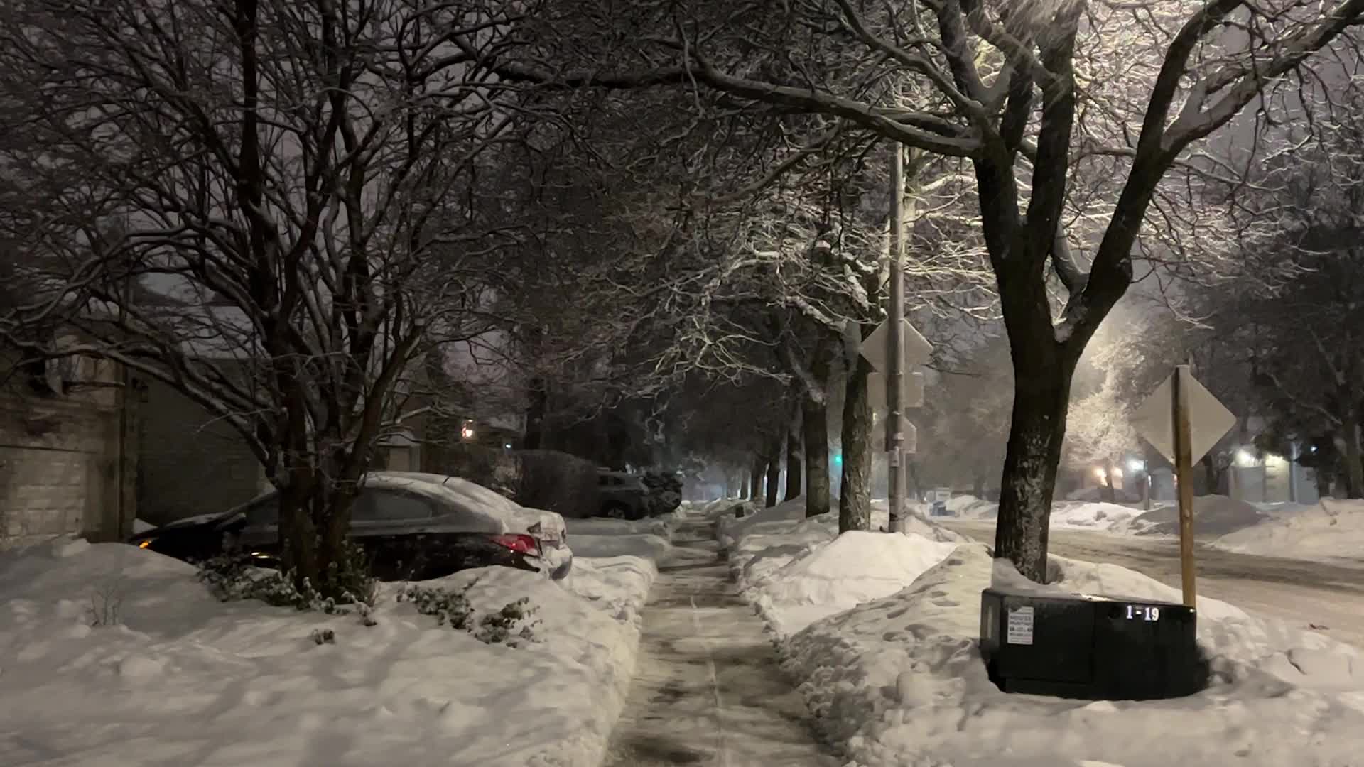 Snowfall in Toronto