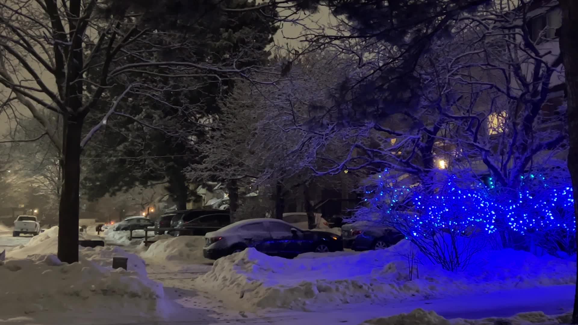 Snowfall in Toronto