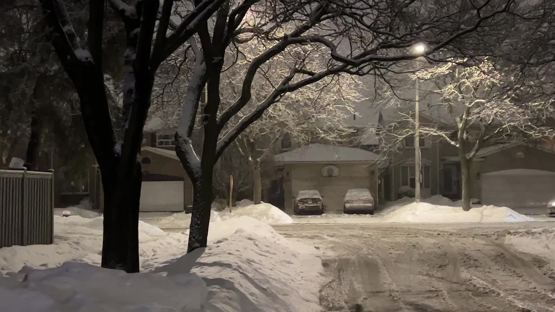 Snowfall in Toronto