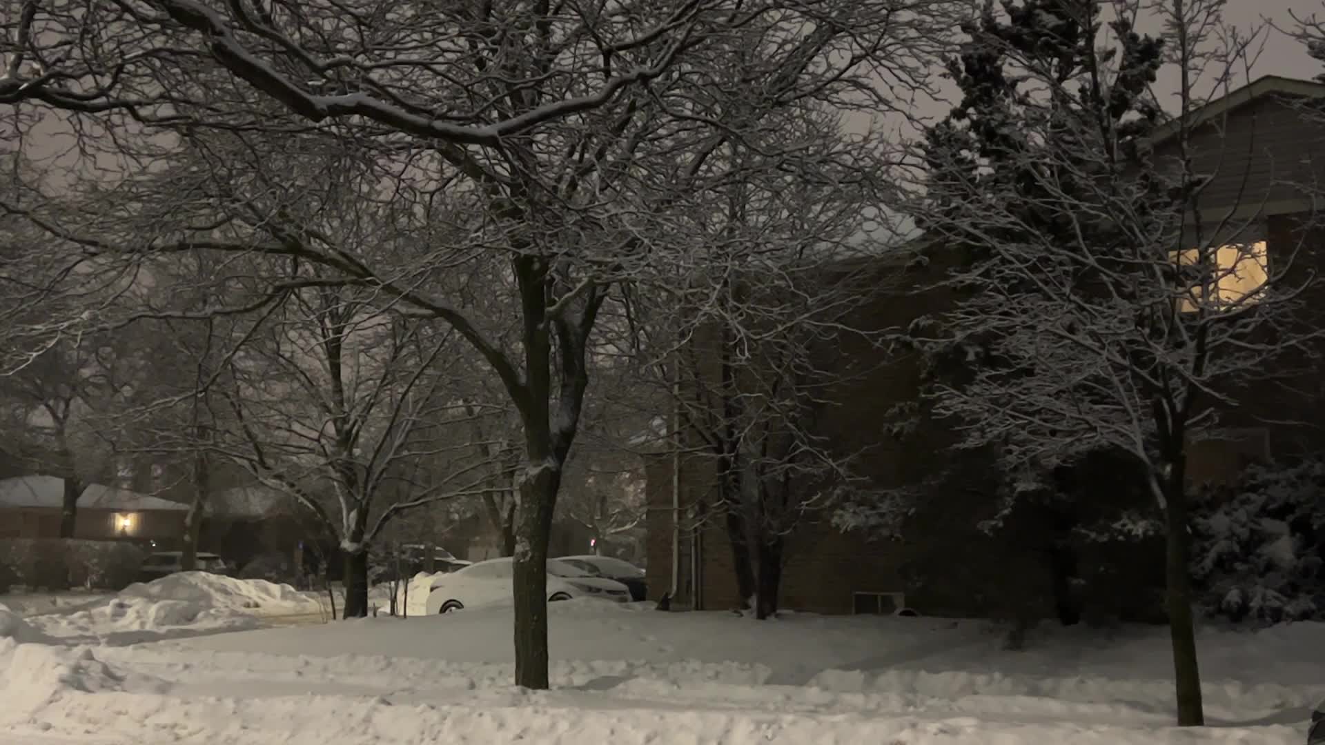 Snowfall in Toronto