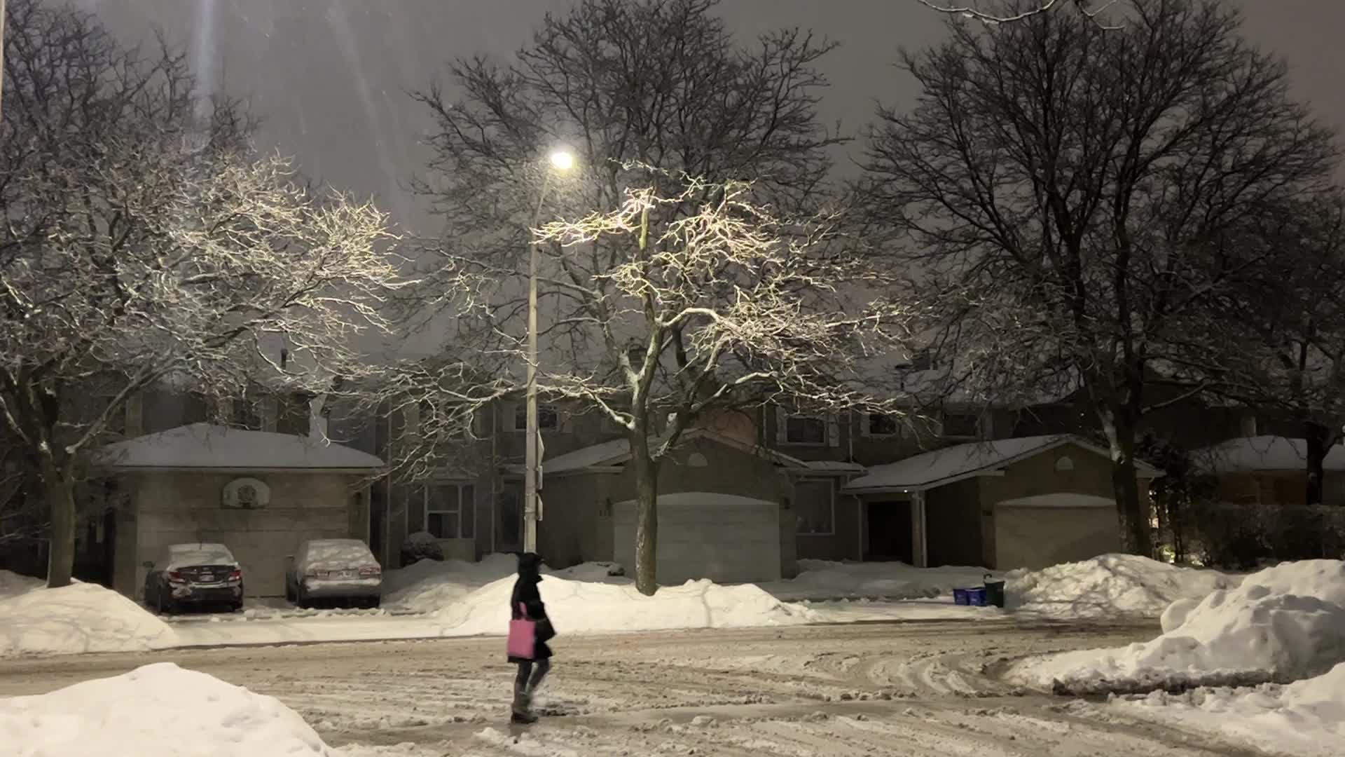 Snowfall in Toronto