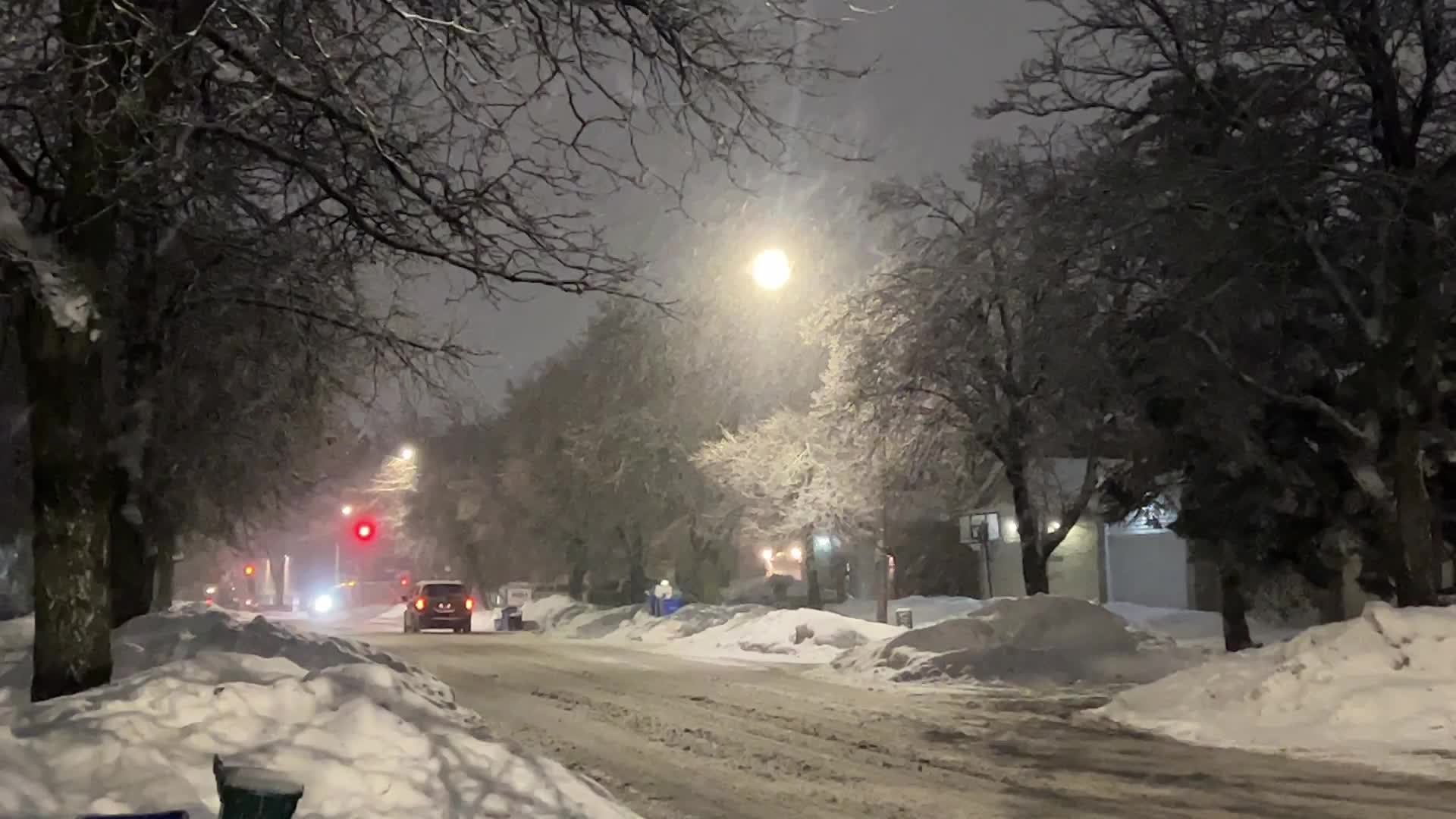 Snowfall in Toronto