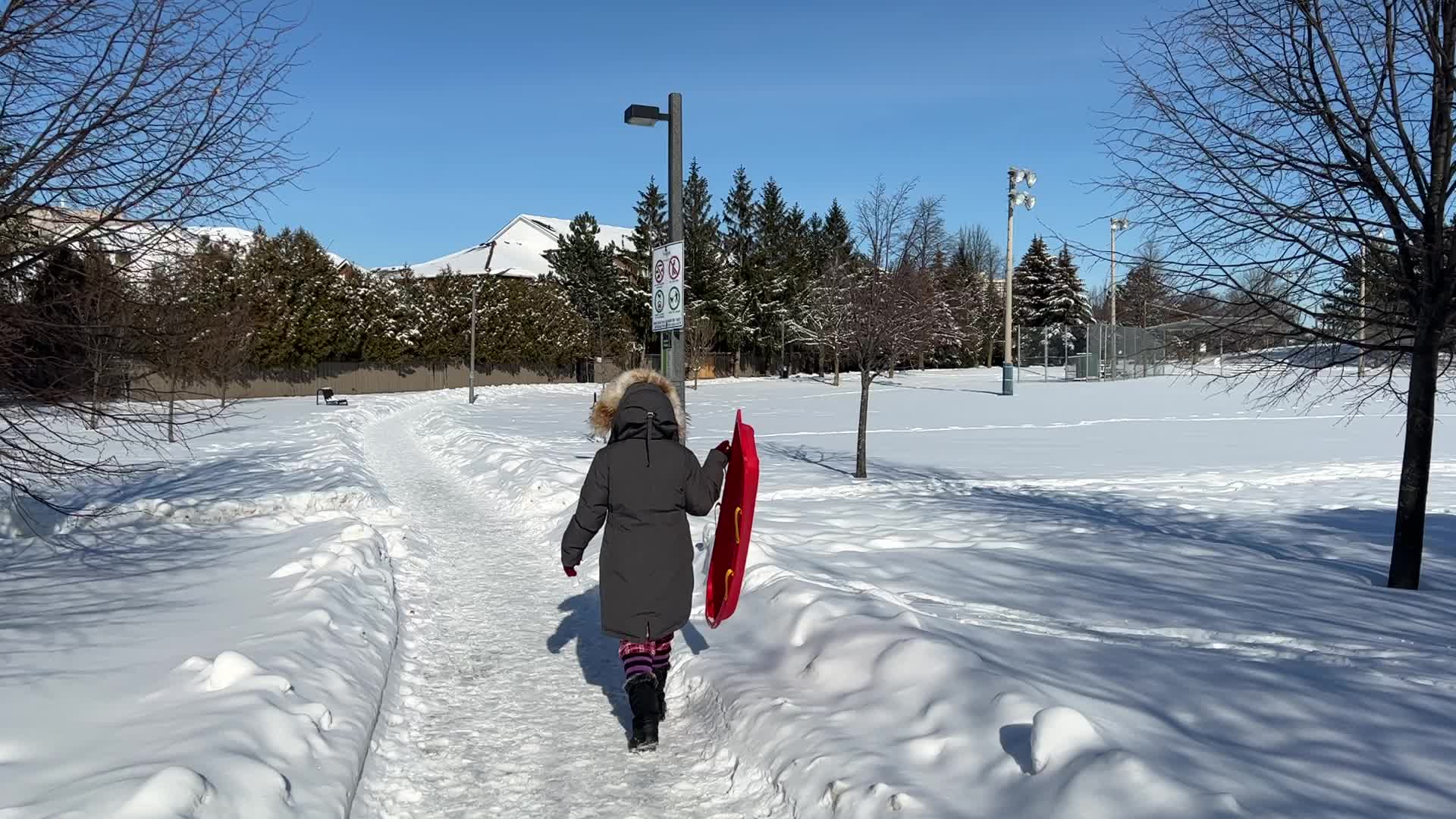 Daily life during winter in Toronto