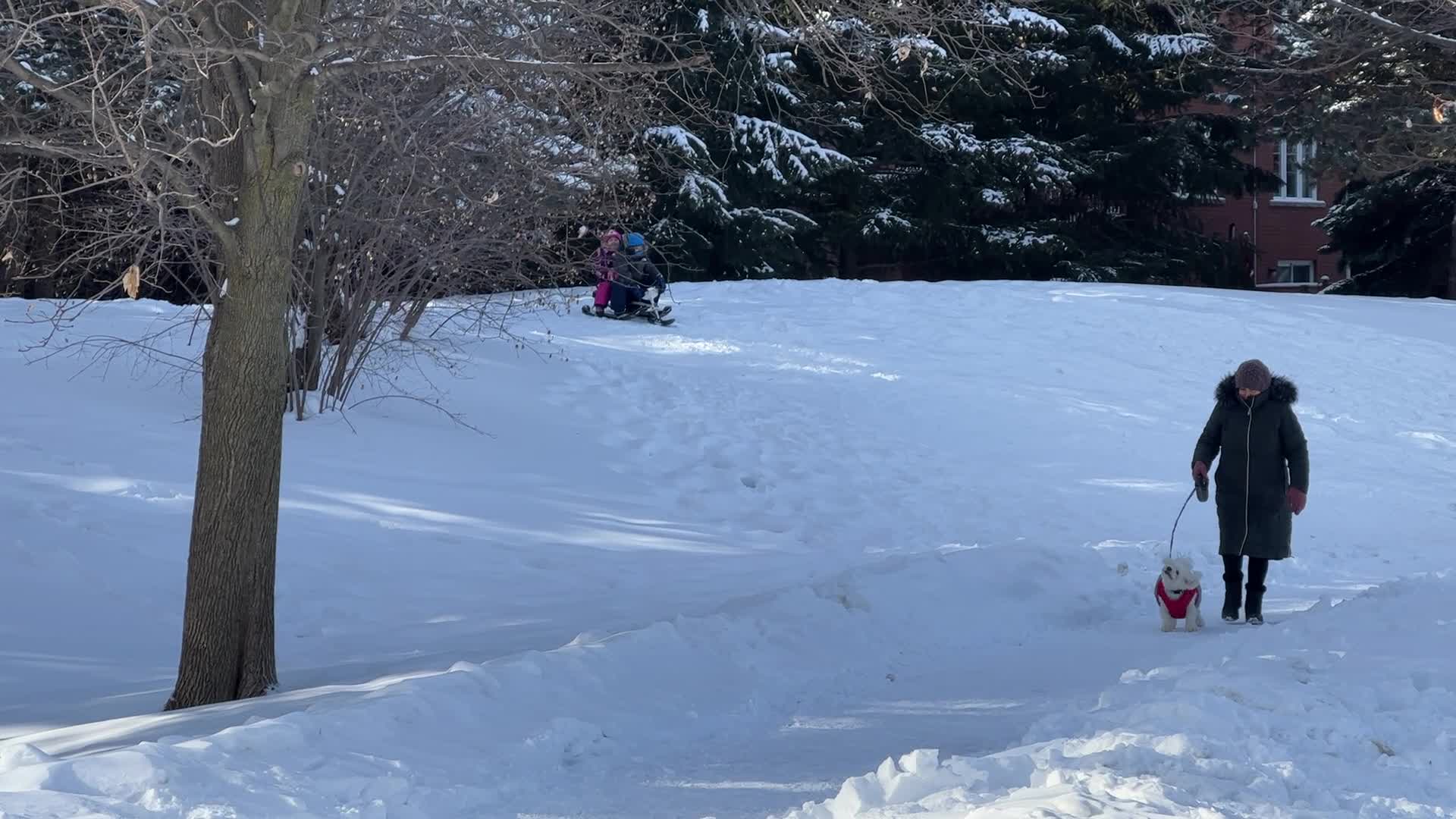 Daily life during winter in Toronto