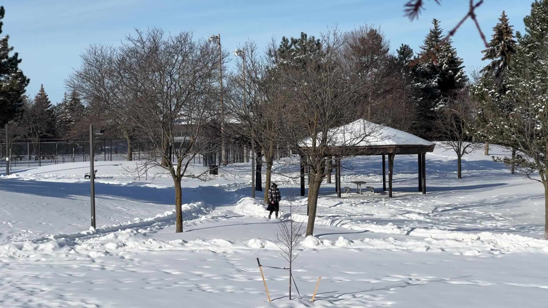 Daily life during winter in Toronto