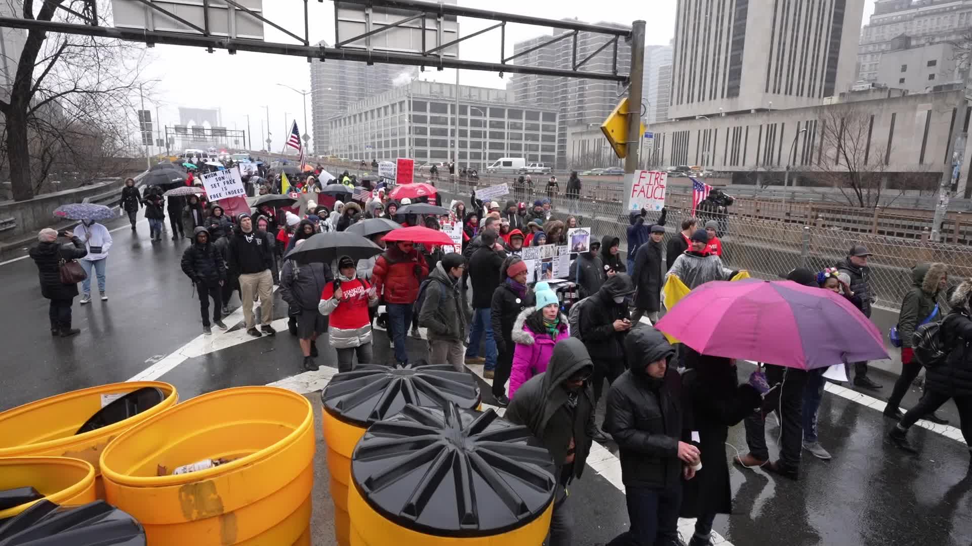 Anti-Mandate Protest in New York City 