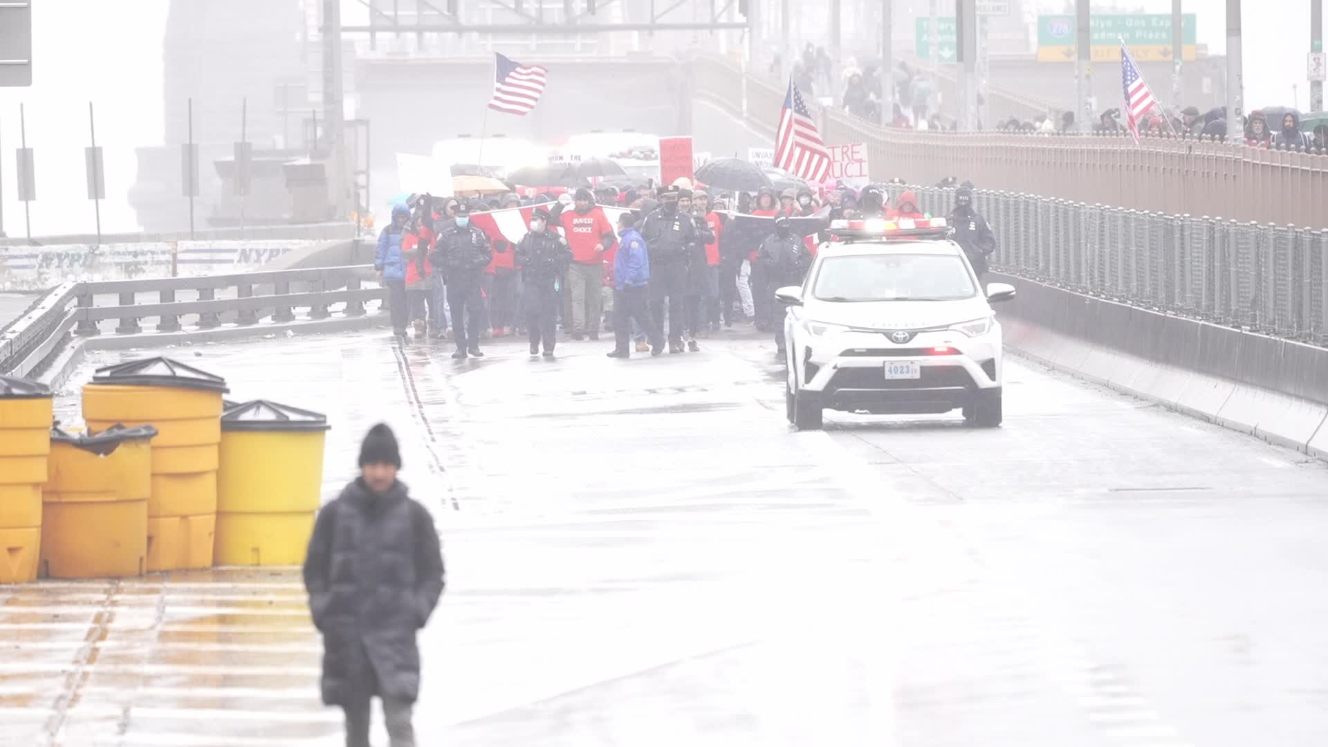Anti-Mandate Protest in New York City 