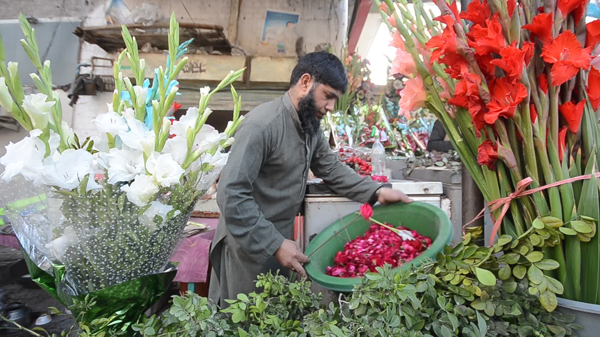 Valentine's Day in Peshawar