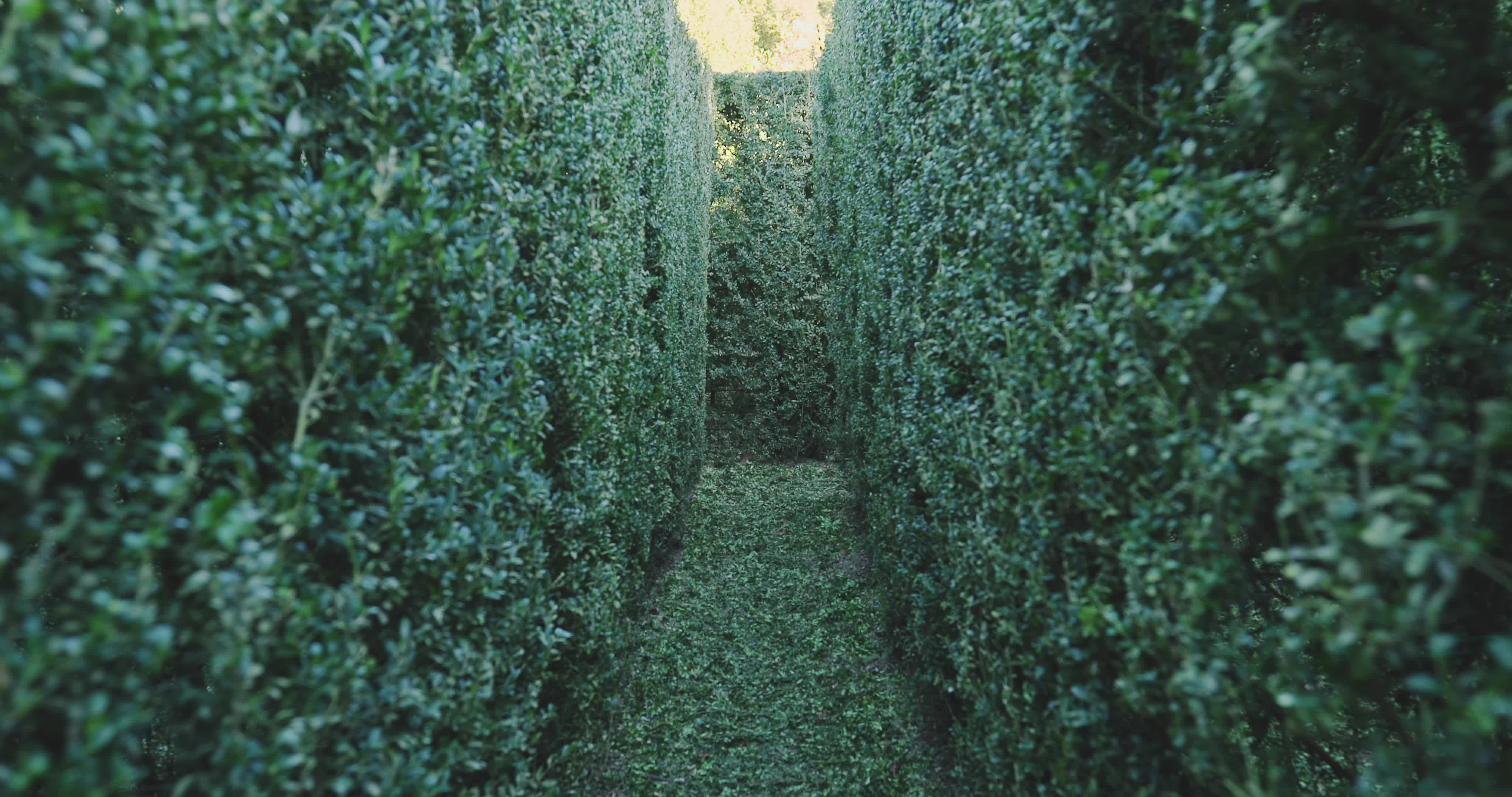 The garden of Villa Barbarigo Pizzoni Ardemani, Valsanzibio