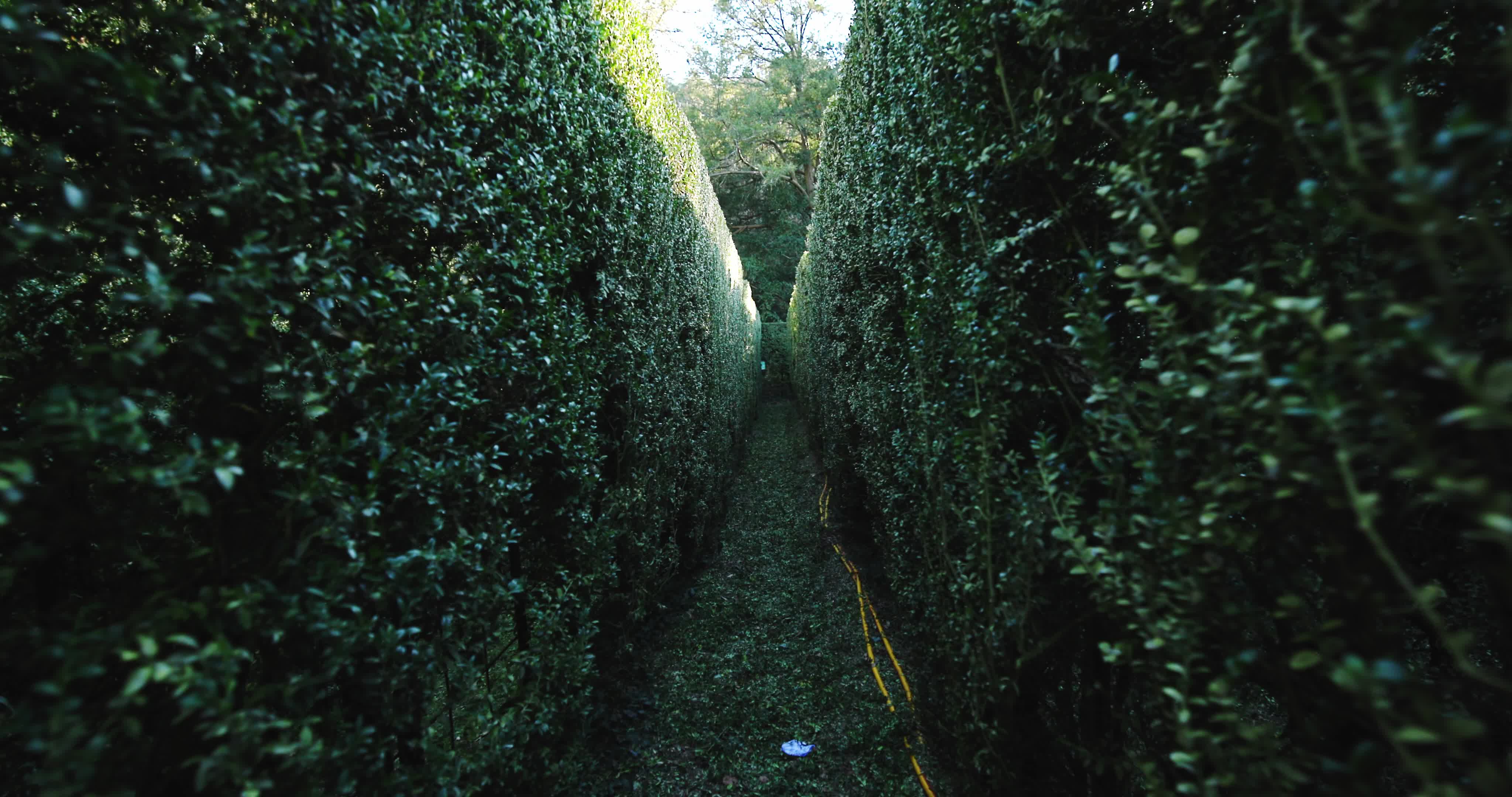 The garden of Villa Barbarigo Pizzoni Ardemani, Valsanzibio