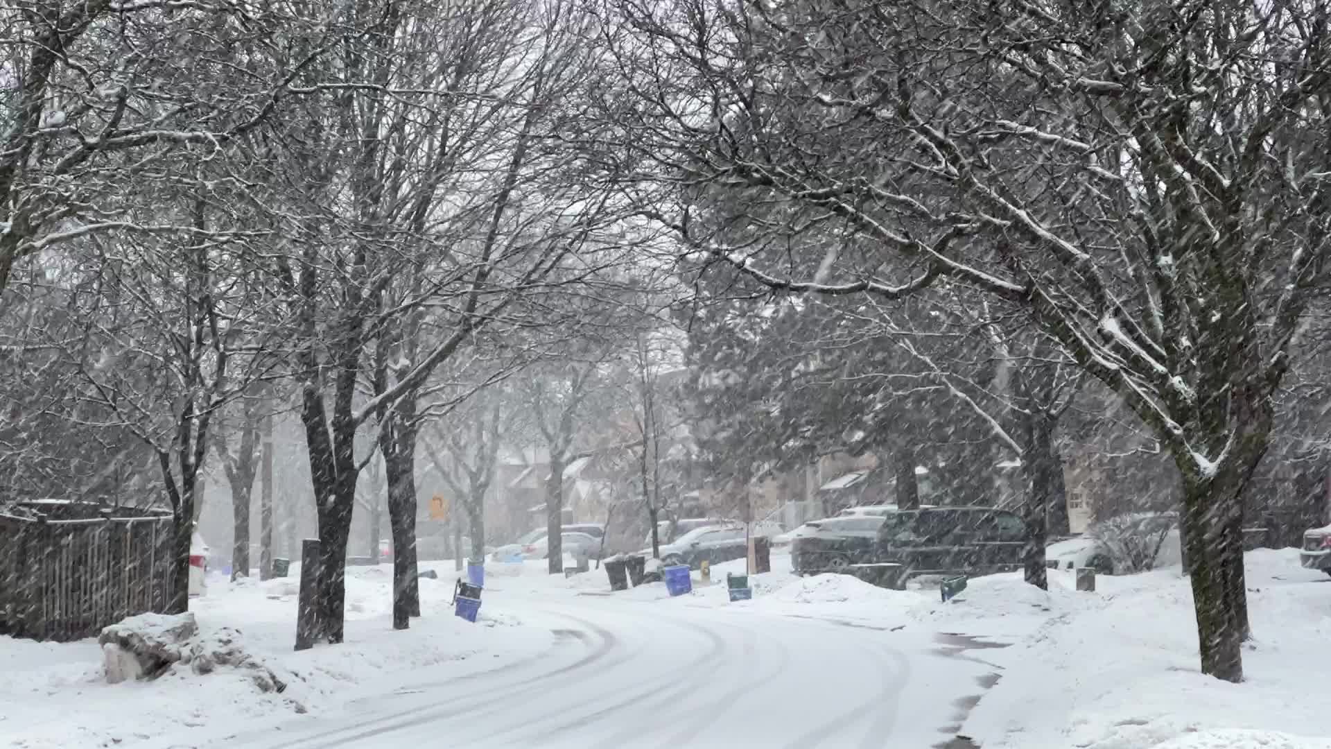Winter storm hits Toronto