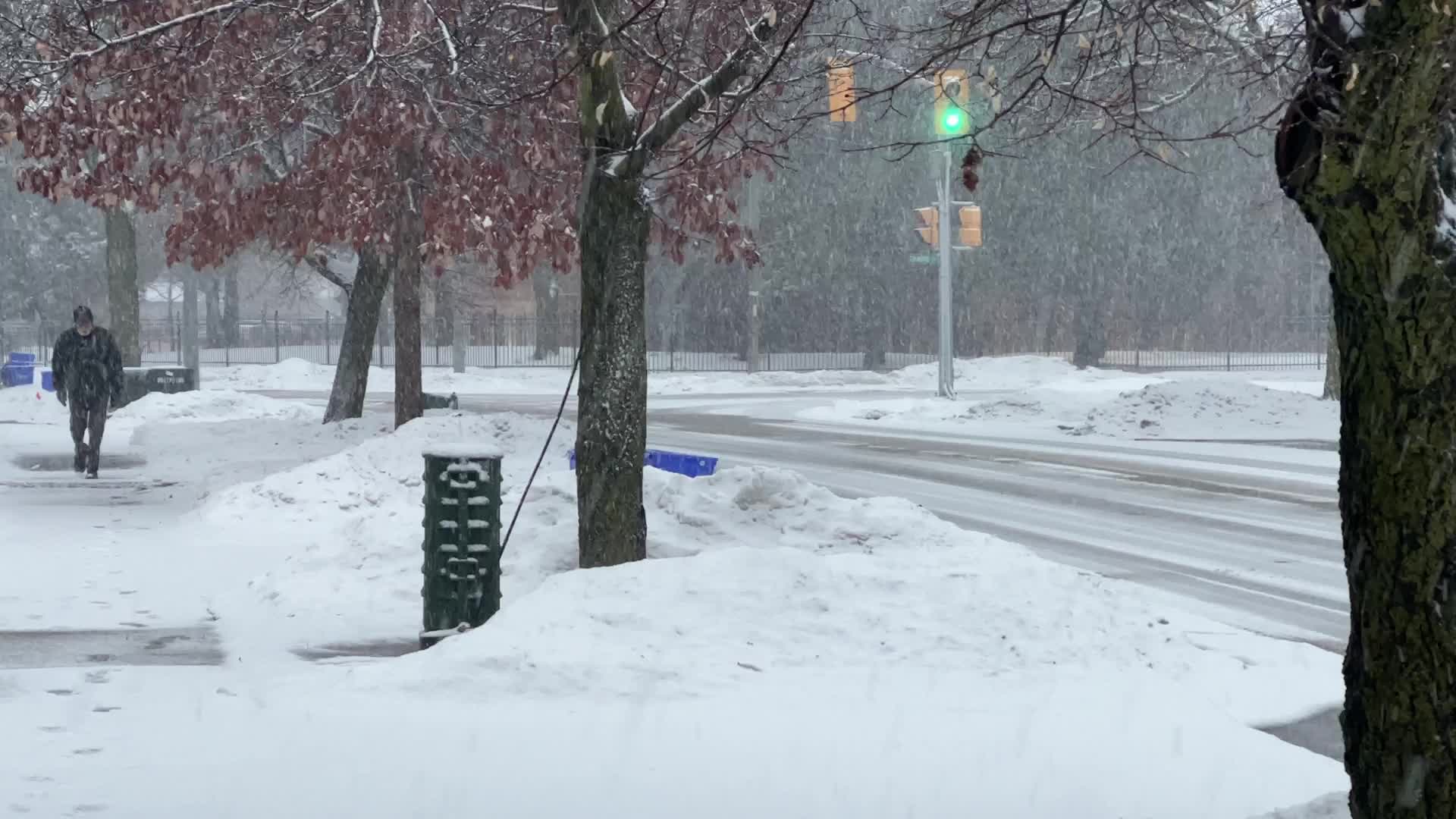 Winter storm hits Toronto
