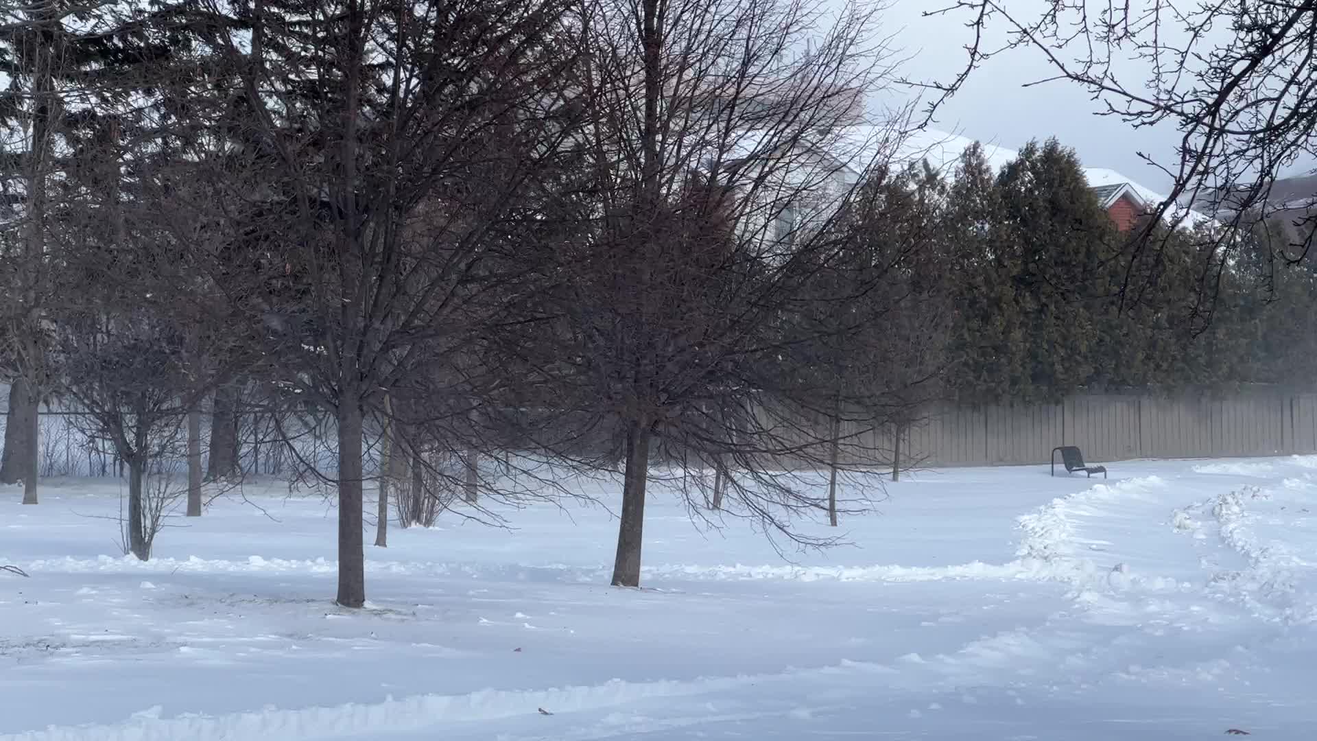 Strong winds caused blizzard like conditions in Toronto